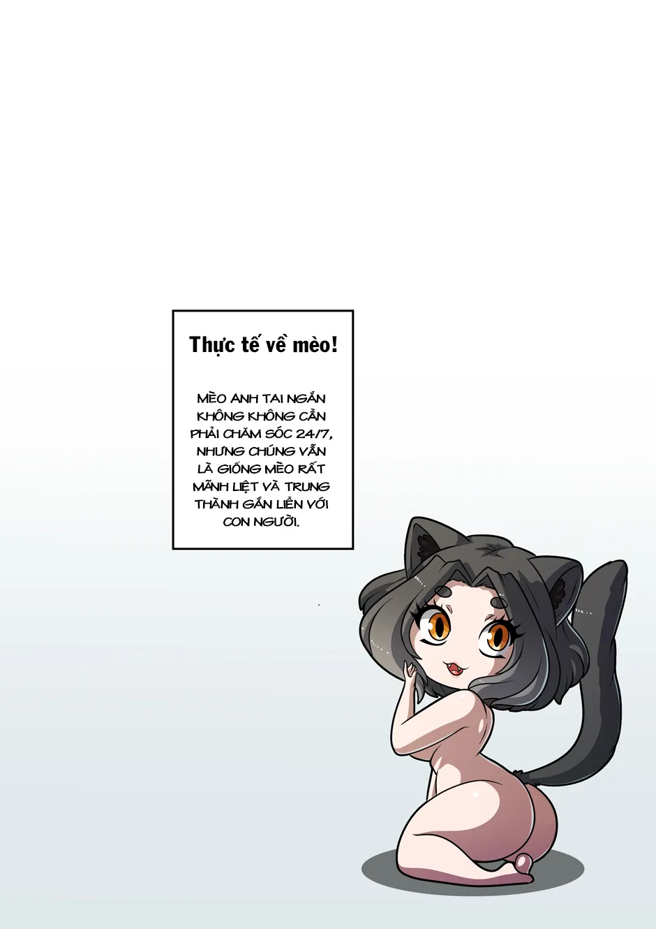 HentaiVN.net - Ảnh 24 - Beautiful Beli - Oneshot