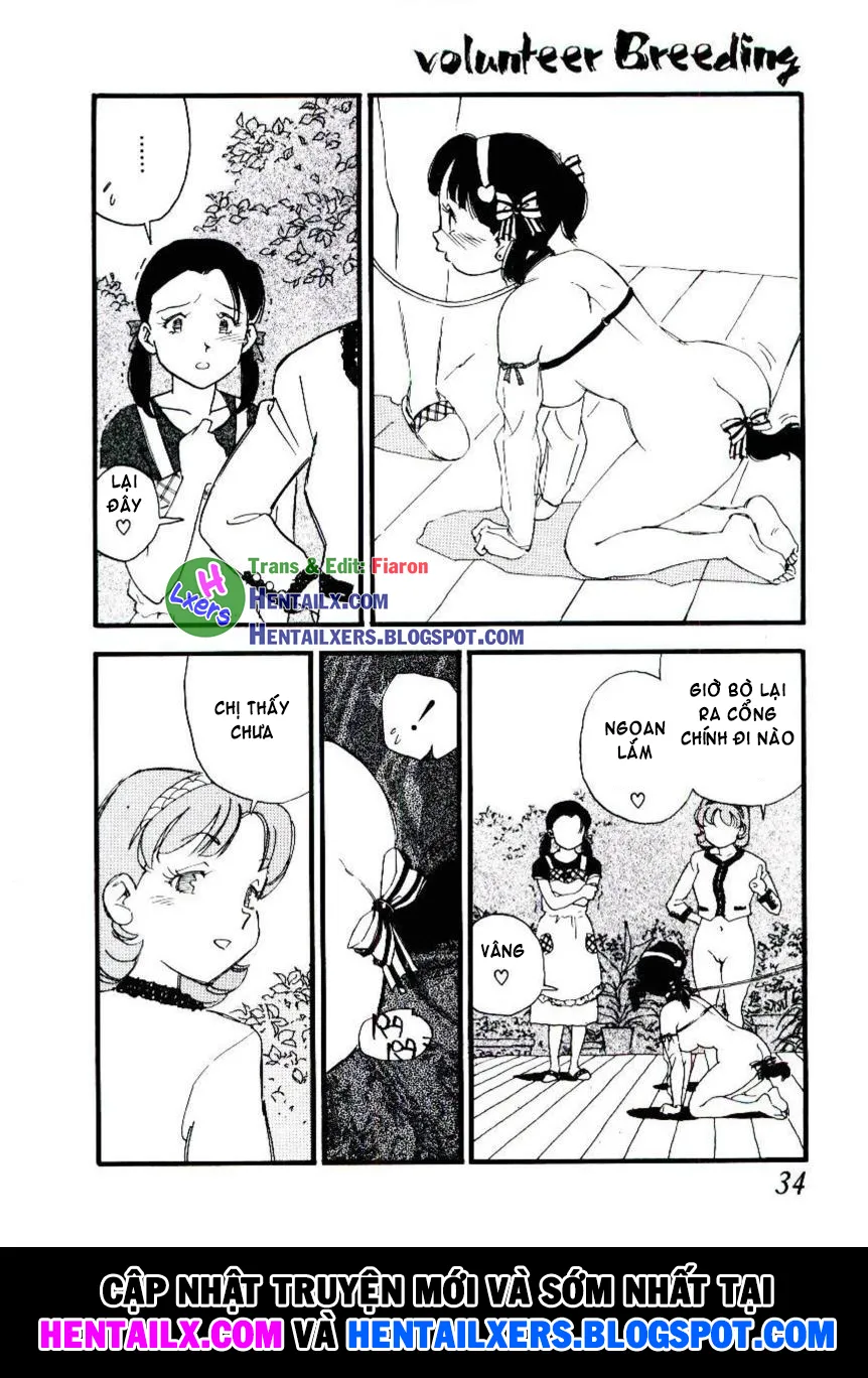 HentaiVN.net - Ảnh 3 - Volunteer Breeding - Chap 2