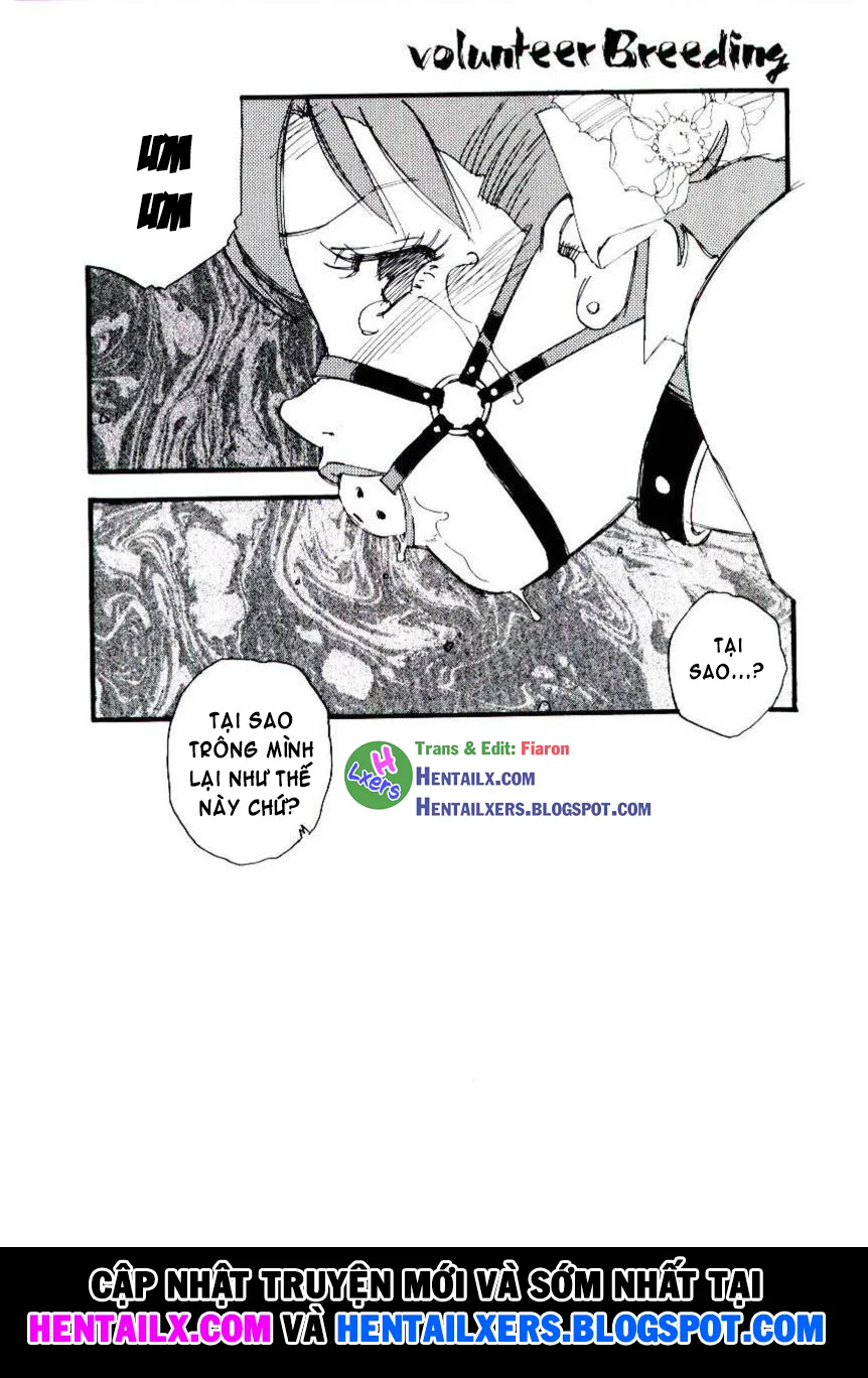 HentaiVN.net - Ảnh 21 - Volunteer Breeding - Chap 4