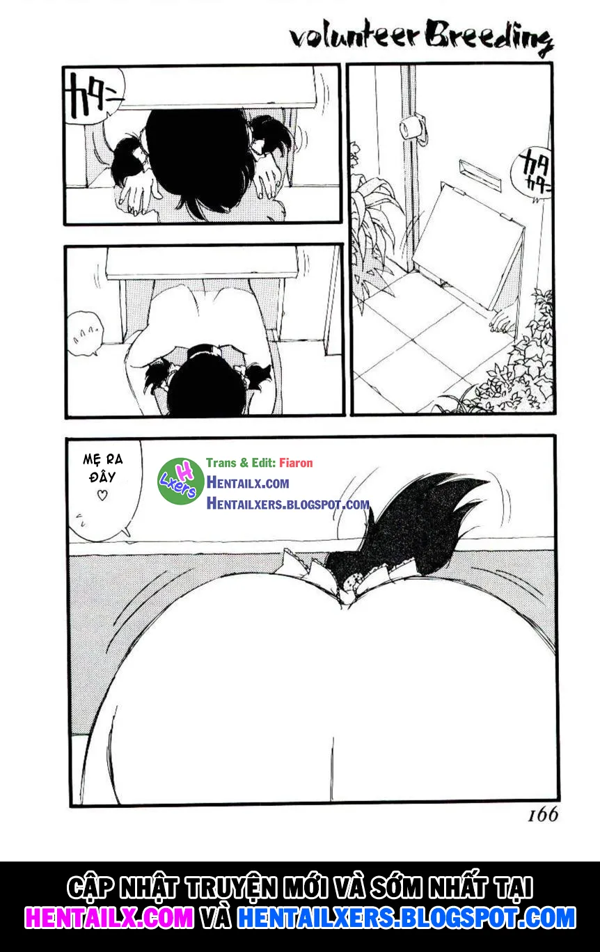 HentaiVN.net - Ảnh 20 - Volunteer Breeding - Chap 8