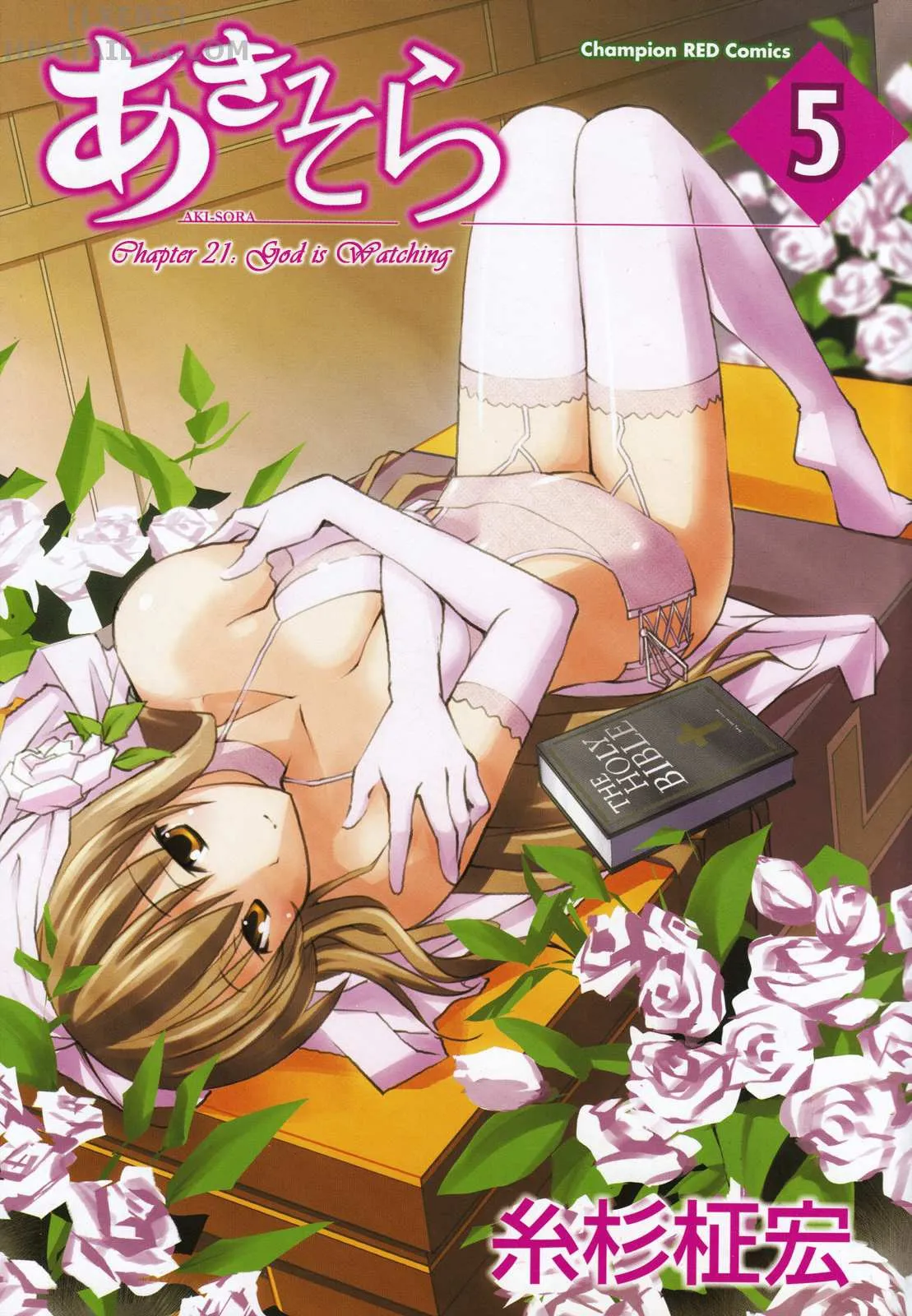 HentaiVN.net - Ảnh 10 - Aki no Sora [Aki Sora] - Chap 22