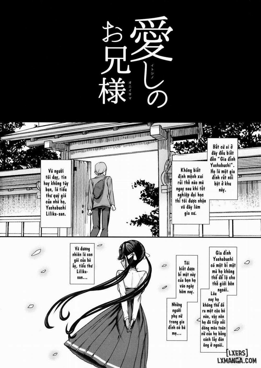 HentaiVN.net - Ảnh 3 - Itoshi no Onii-sama - Lilim's Gaiden [Itoshi No Onii-Sama Lilim's Gaiden] - Oneshot
