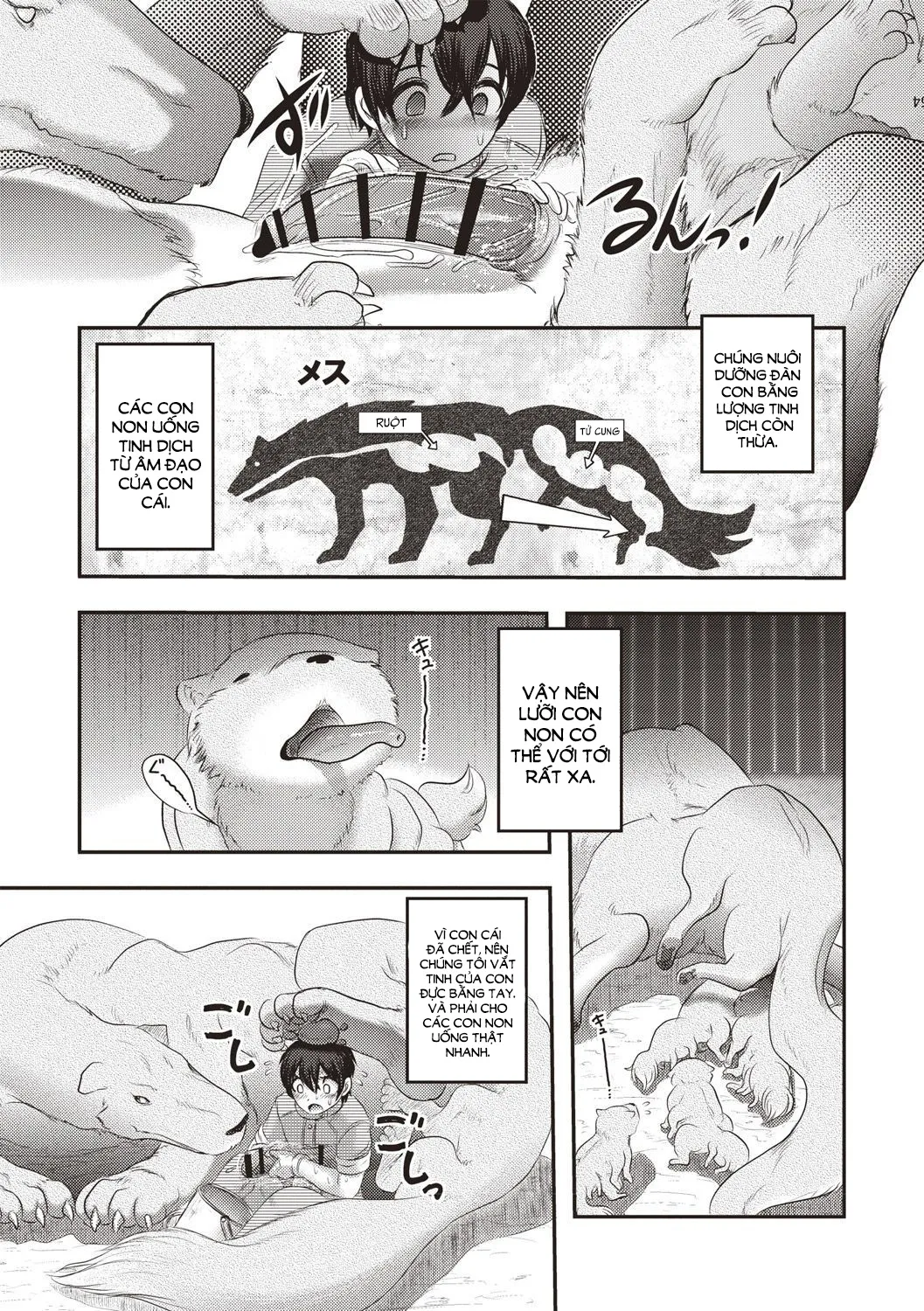 HentaiVN.net - Ảnh 7 - Nuôi con bằng lỗ hậu [Human Anus Rearing; 人肛飼育] - Oneshot