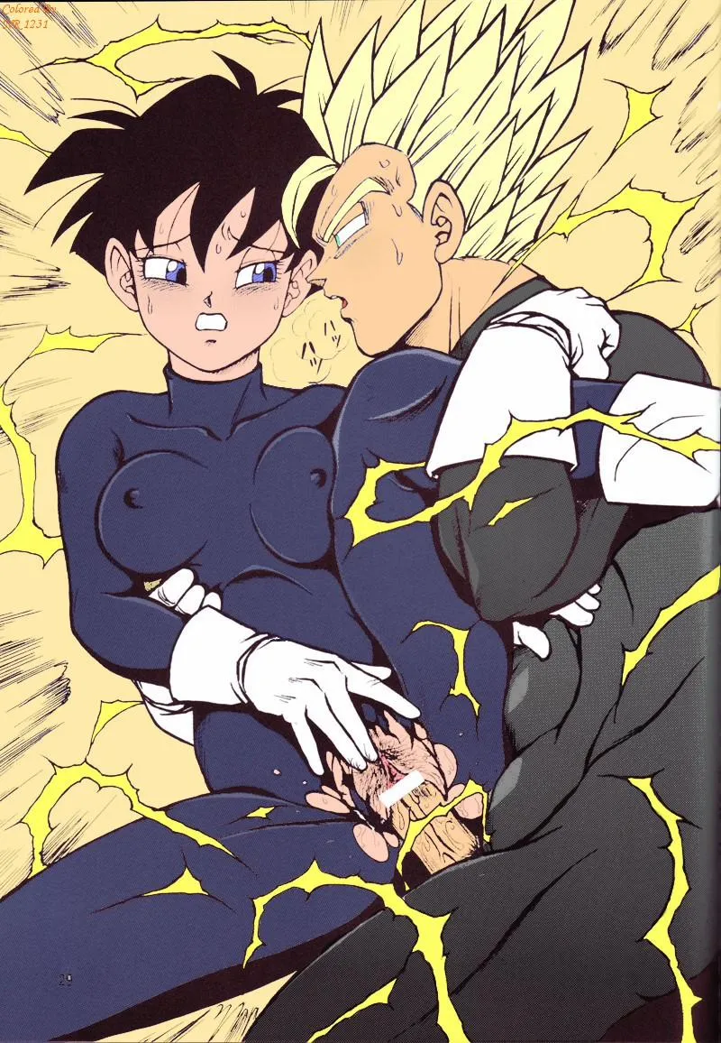 HentaiVN.net - Ảnh 28 - DragonBall H Maki San (Dragon Ball Z) - Oneshot