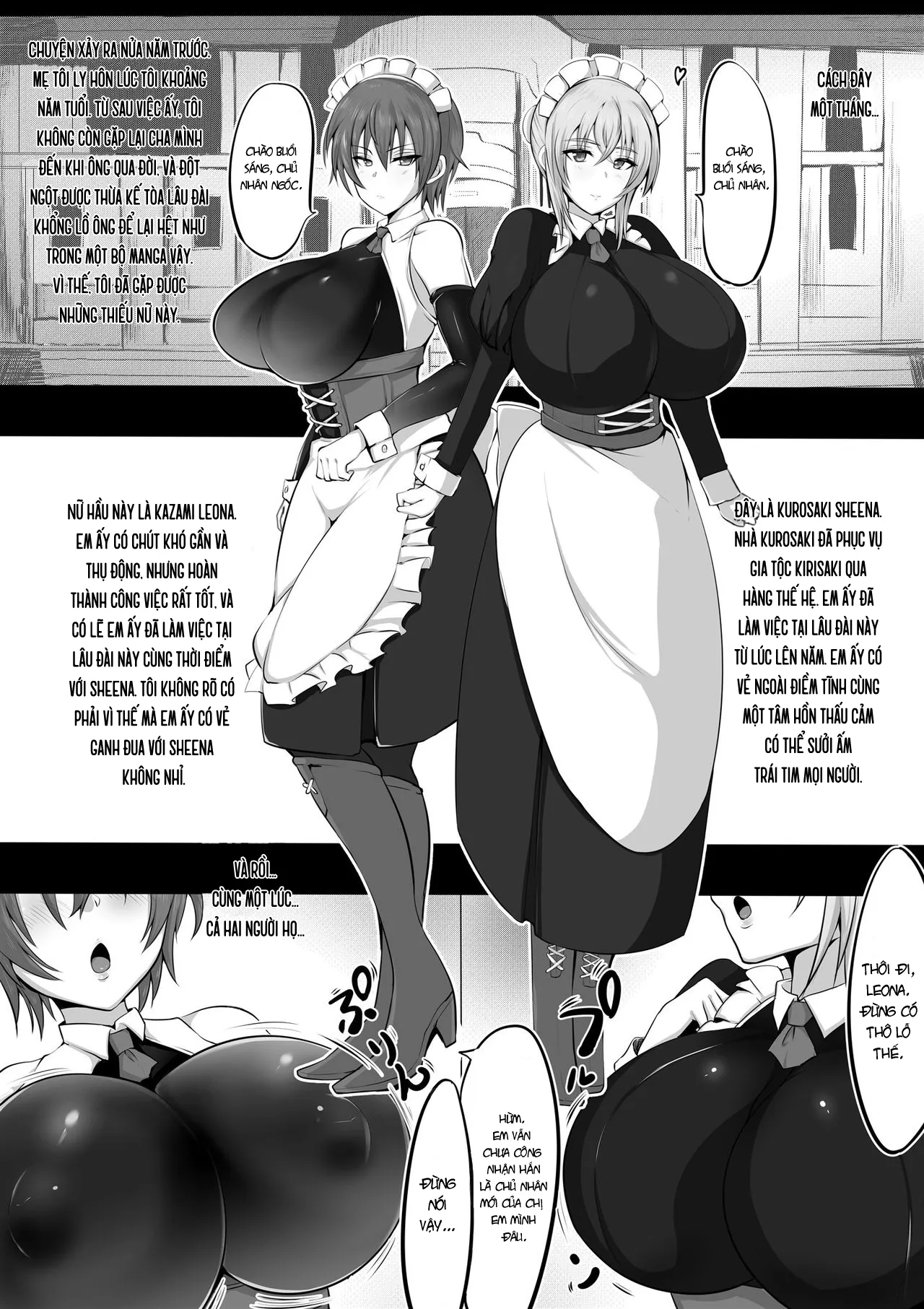 HentaiVN.net - Ảnh 8 - Hai nàng hầu ngọt nước [Maidorare Jou, メイドラレ上] - Oneshot
