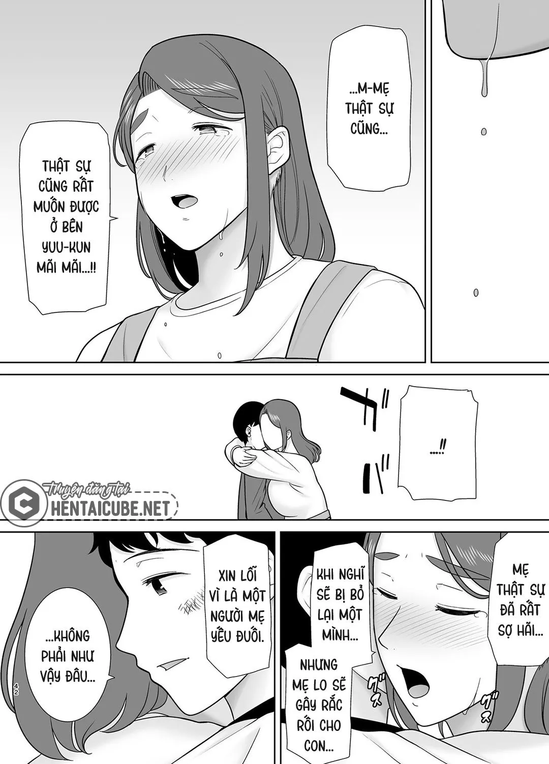 HentaiVN.net - Ảnh 7 - Mẹ là người phụ nữ mà tôi yêu [Boku no Kaa-san de, Boku no Suki na Hito.] - Chap 9B - Hồi kết