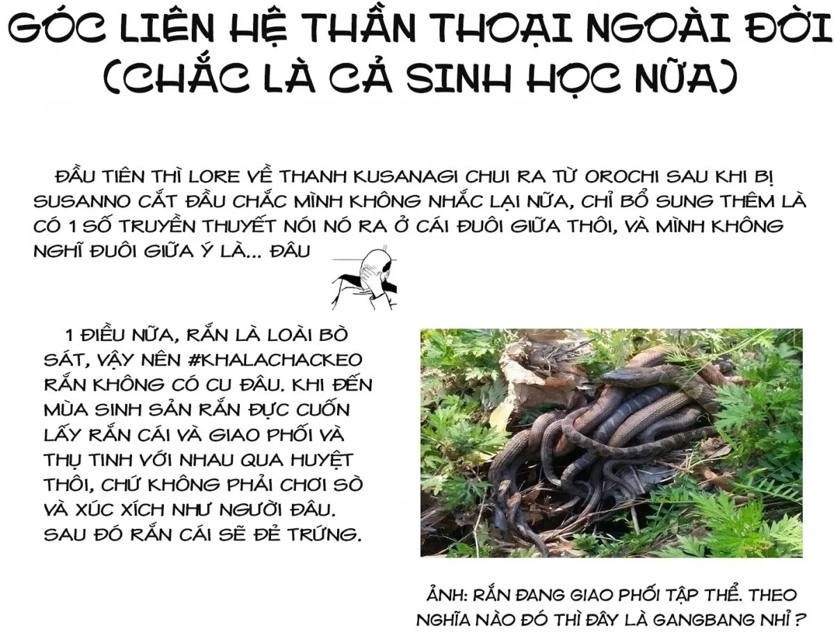 HentaiVN.net - Ảnh 24 - Đấu trường Hoa hồng [Rosengarten Saga; Rozengaten Saga; Rosen Garten Saga] - Chap 55: 「Phục kiếm 〜Heiliger Schatz～」