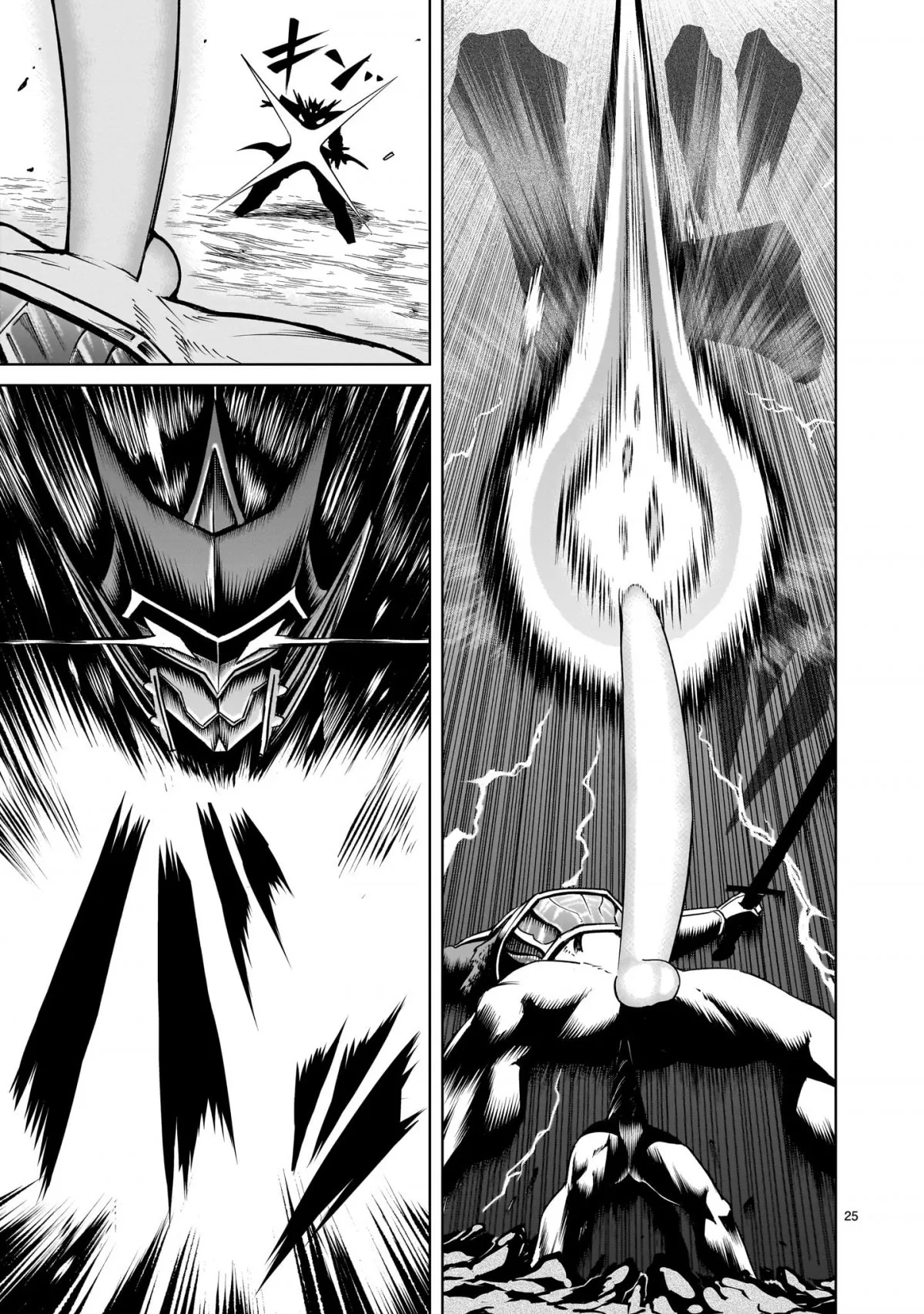 HentaiVN.net - Ảnh 23 - Đấu trường Hoa hồng [Rosengarten Saga; Rozengaten Saga; Rosen Garten Saga] - Chap 63「Đen thuần khiết ～Machtschikanierung～」