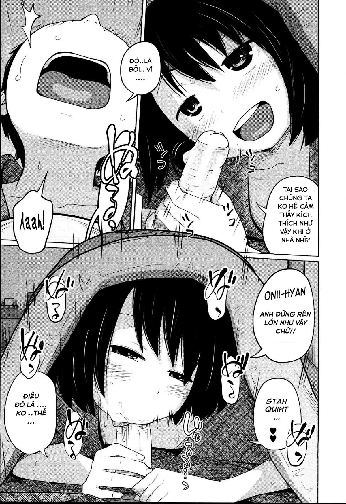 HentaiVN.net - Ảnh 18 - Aneito Imouto - Chap 1