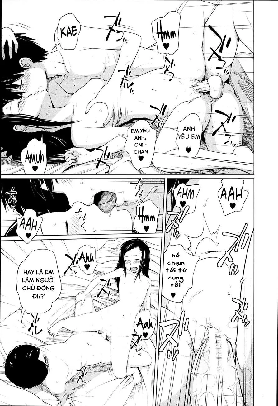 HentaiVN.net - Ảnh 21 - Aneito Imouto - Chap 3