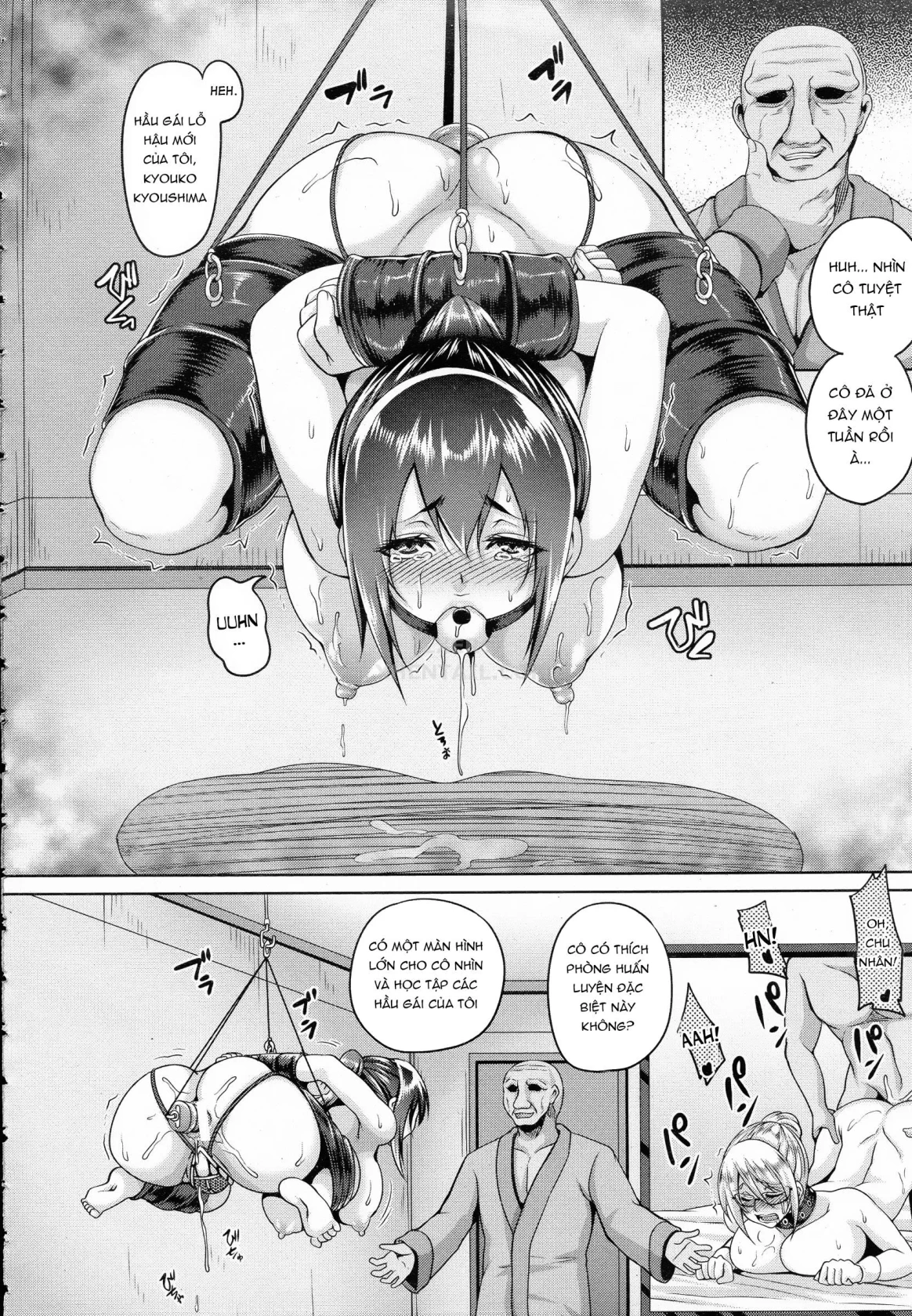 HentaiVN.net - Ảnh 7 - Zenana Biyaku Choukyou Nikubenki Collection - Chap 7