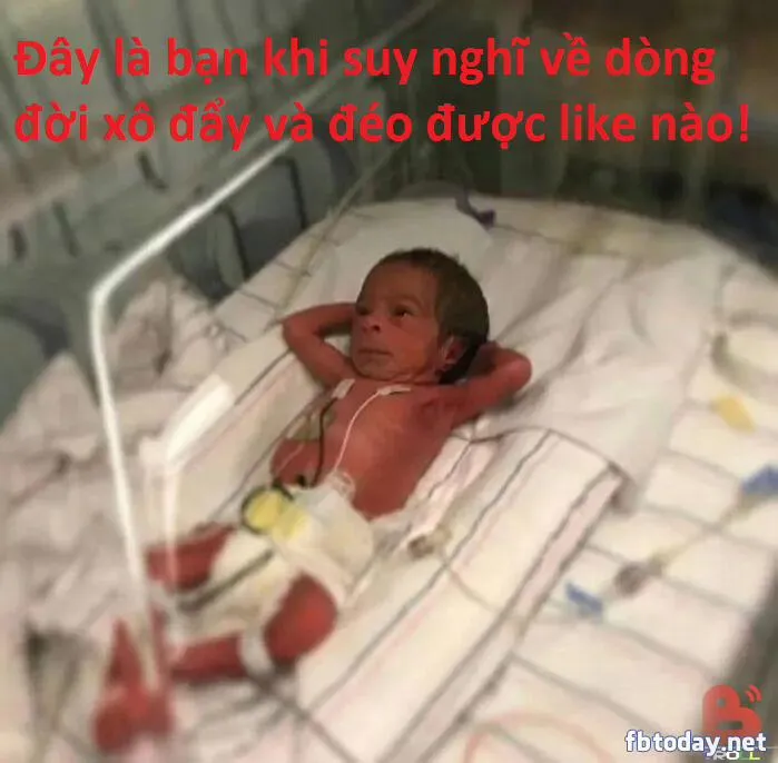 HentaiVN.net - Ảnh 14 - Tổng Hợp Hentai Disney - Chương 6 0 đặc biệt!!!