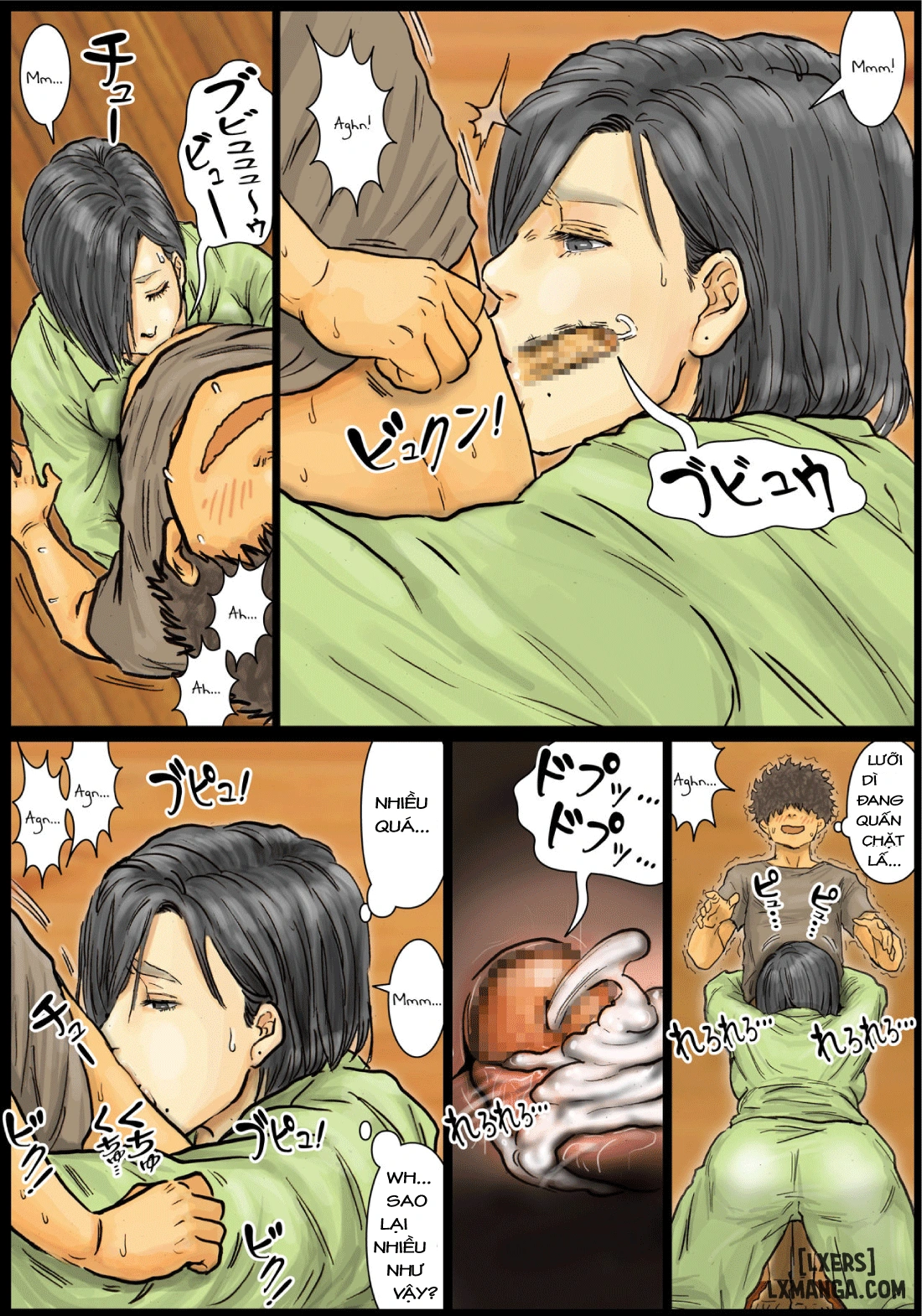 HentaiVN.net - Ảnh 28 - Oba-san no Karada ga Kimochi Yosugiru kara - chap 1