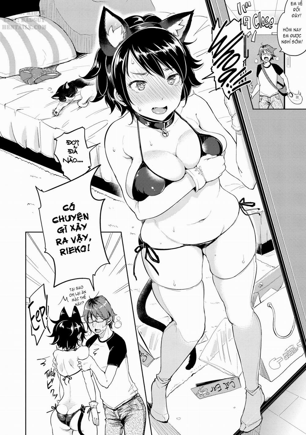 HentaiVN.net - Ảnh 5 - Let Loose with Lewd Boobs! - 5. Play With Me Like A Cat