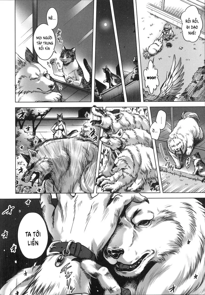 HentaiVN.net - Ảnh 14 - Human-lovers Committee - Chap 1: Beasts Intentions