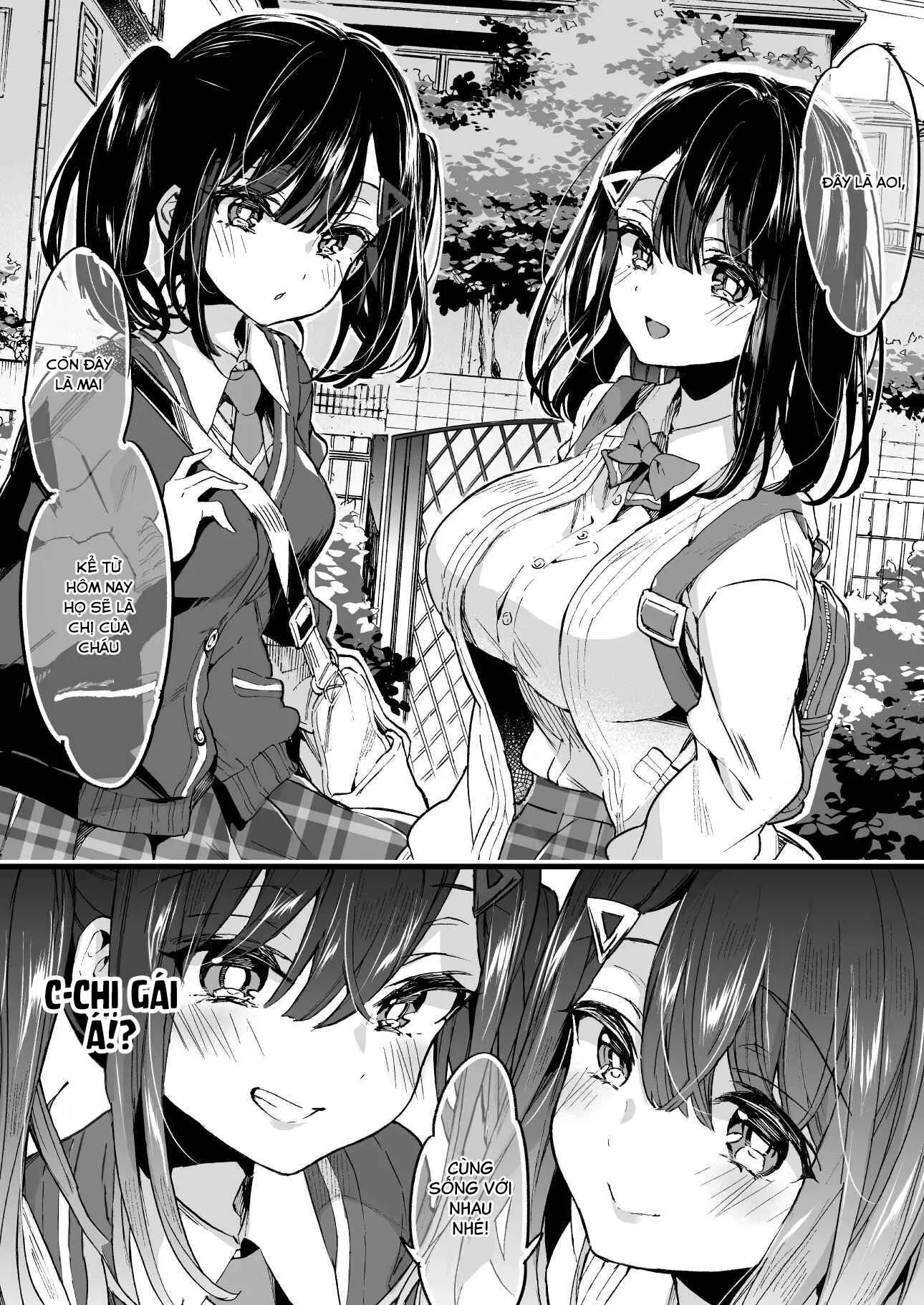 HentaiVN.net - Ảnh 9 - Onee-chan ga Yattekita! - Dịch bao hay! - Oneshot
