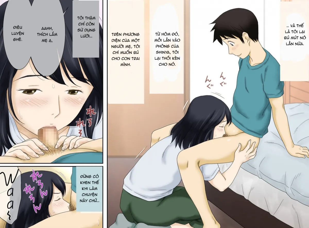 HentaiVN.net - Ảnh 9 - Mẹ và con trai [Nagare De Musuko To Tsunagacchatta; Mom and son] - Chap 2: Mẹ con với nhau mà lại làm việc này...