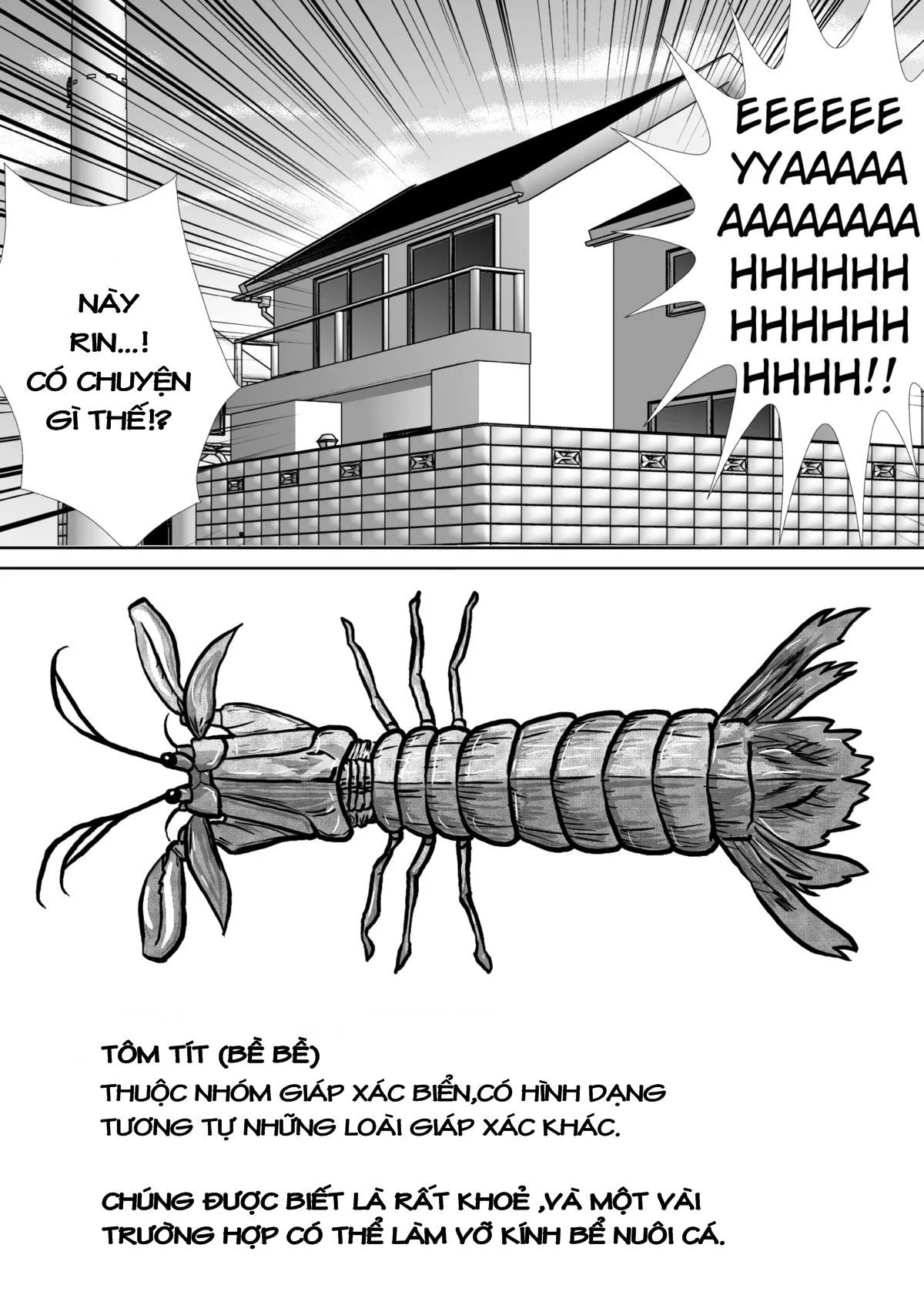HentaiVN.net - Ảnh 18 - Chitsu Hakai-Kei Joshi - Chap 1.1