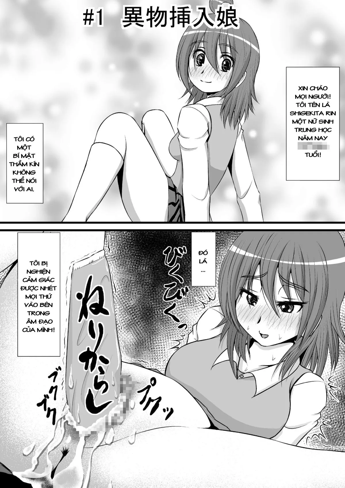 HentaiVN.net - Ảnh 3 - Chitsu Hakai-Kei Joshi - Chap 1.1