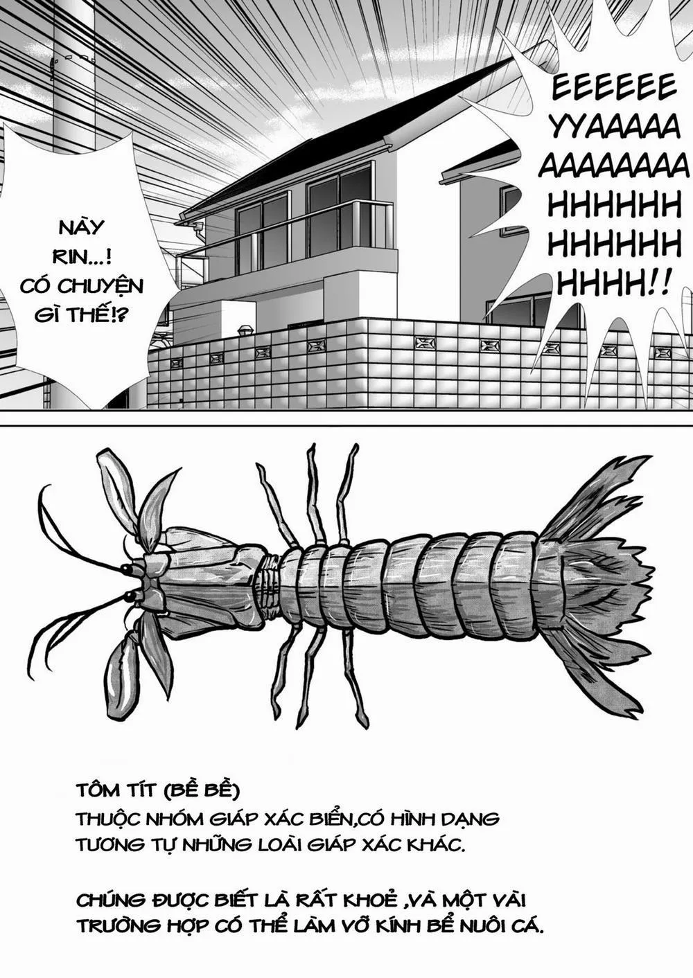 HentaiVN.net - Ảnh 15 - Chitsu Hakai-Kei Joshi - Chương 1.1