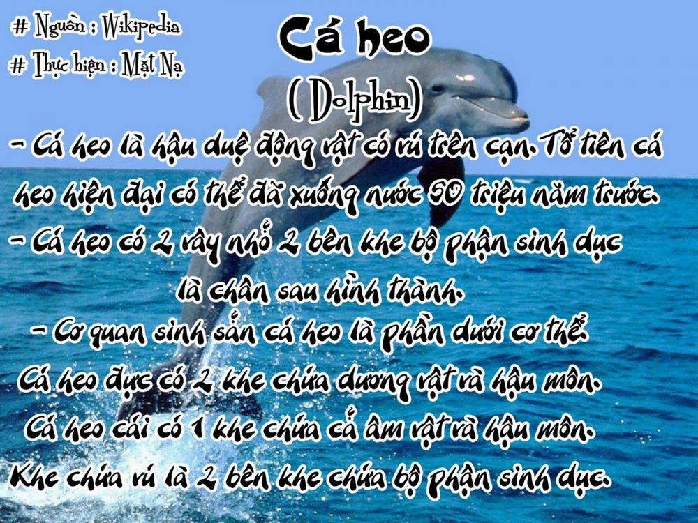 HentaiVN.net - Ảnh 6 - Tổng Hợp Bestiality Oneshot [Bestility Tổng hợp; Bestiality Oneshot; Chuyên mục Bổ sung Kiến Thức Bestiality] - Ikurax 0 Nàng Cá Heo Nứng L**