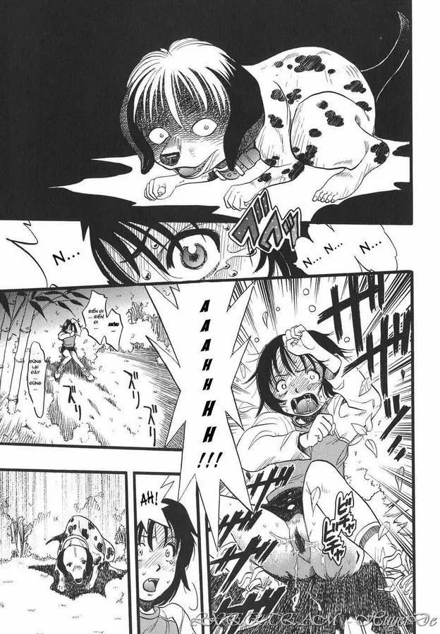HentaiVN.net - Ảnh 5 - The Girl Dreams Dogs - Chương 4