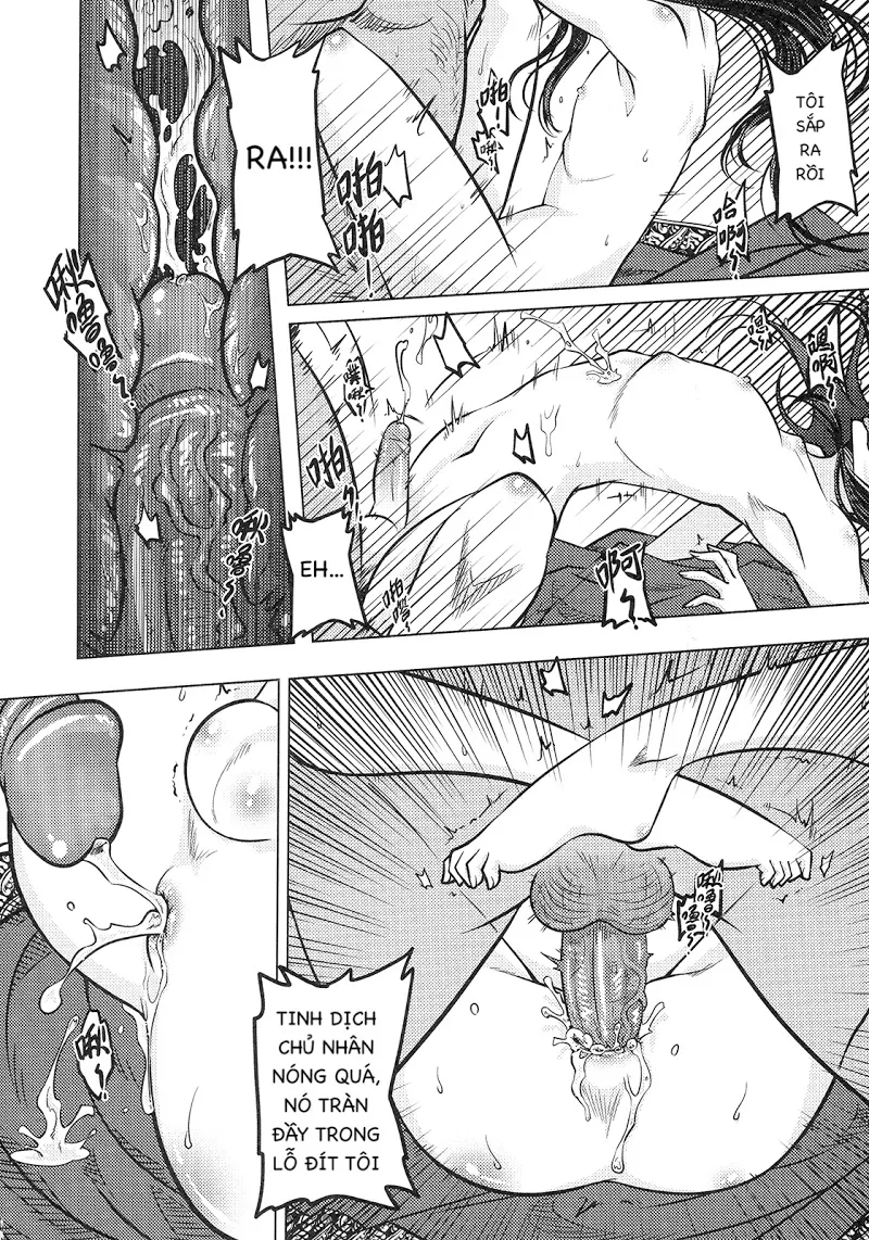 HentaiVN.net - Ảnh 16 - Tale of the mirror - Chap 1