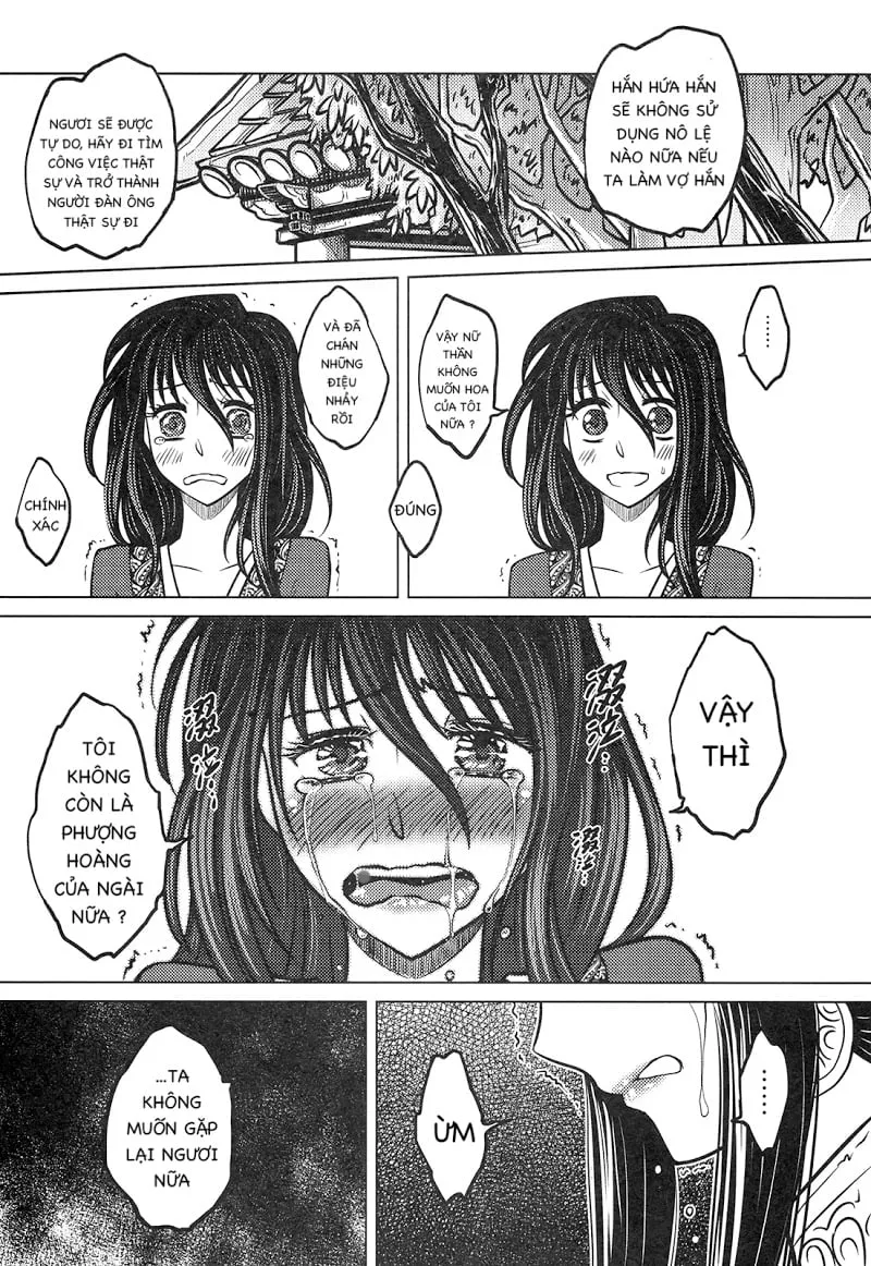 HentaiVN.net - Ảnh 21 - Tale of the mirror - Chap 2 [end]