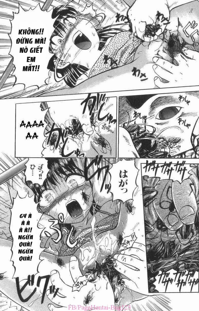 HentaiVN.net - Ảnh 5 - Hành Hạ Loli 3 [Những con gián; cockroach; Death Face] - Oneshot