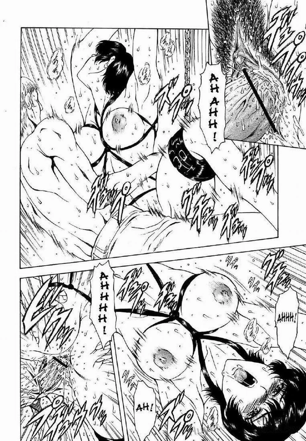 HentaiVN.net - Ảnh 9 - Dawn of the Silver Dragon - Chương 30