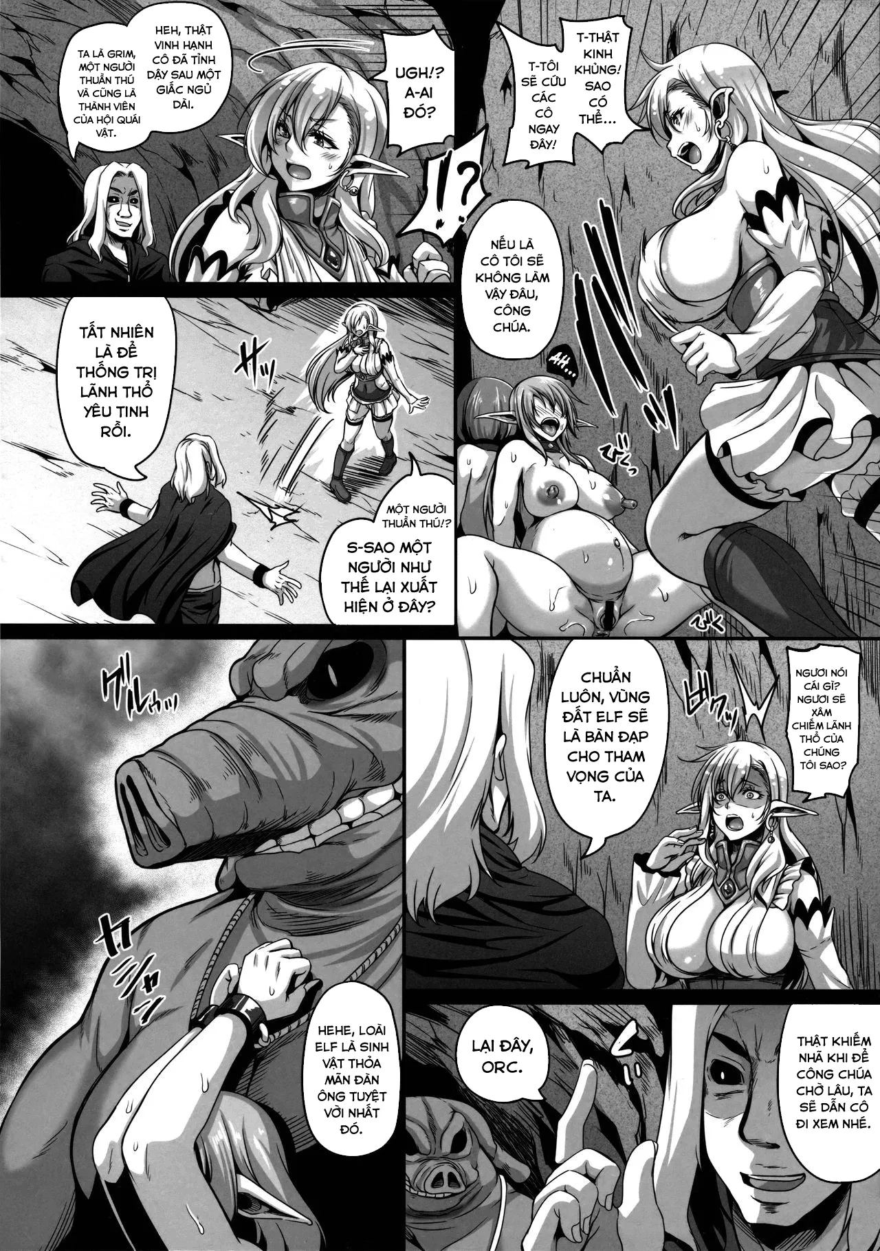 HentaiVN.net - Ảnh 8 - Reishuu No Dark Elf - Chap 2
