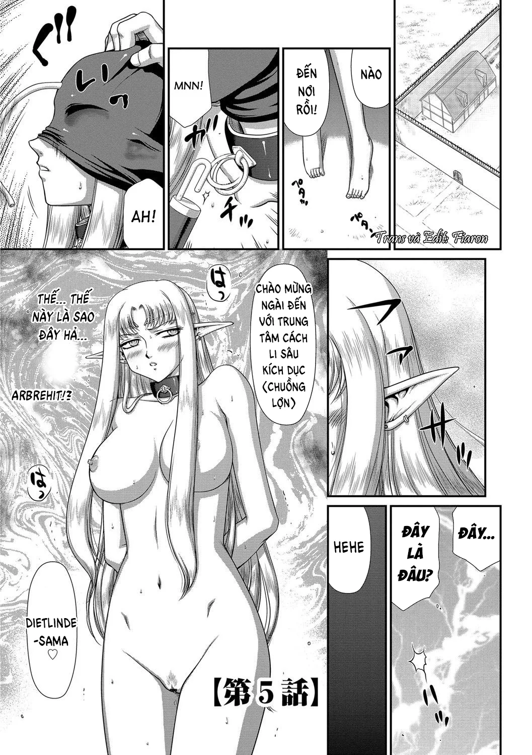 HentaiVN.net - Ảnh 3 - Ingoku no Kouki Dietlinde - Chap 5