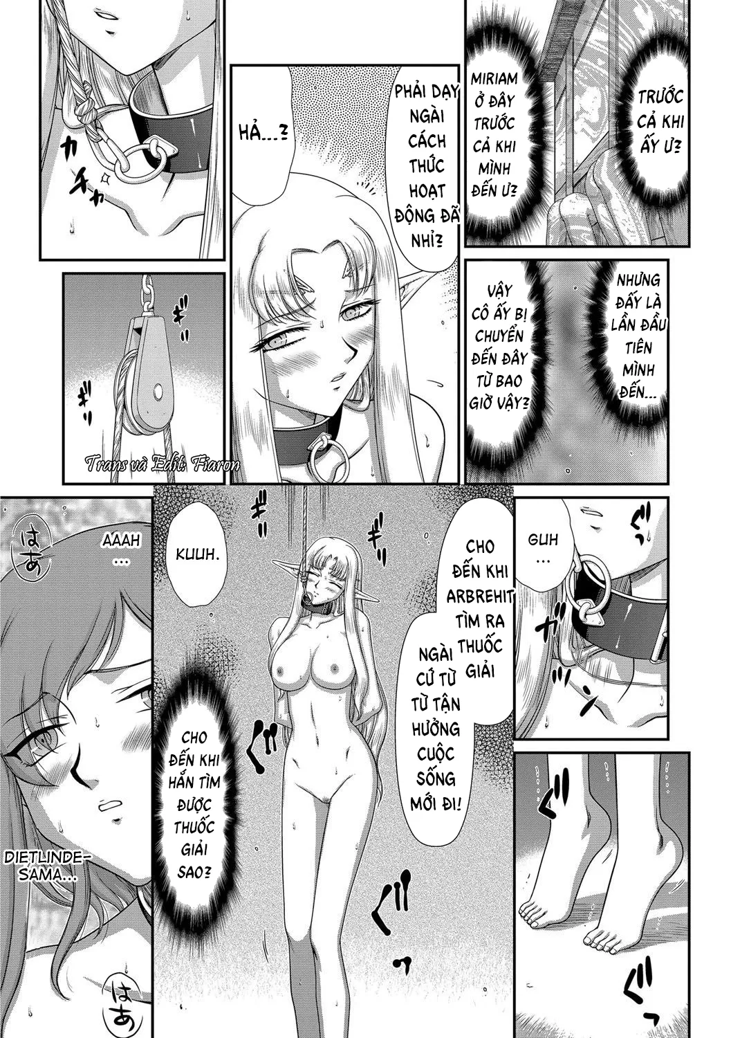 HentaiVN.net - Ảnh 5 - Ingoku no Kouki Dietlinde - Chap 5