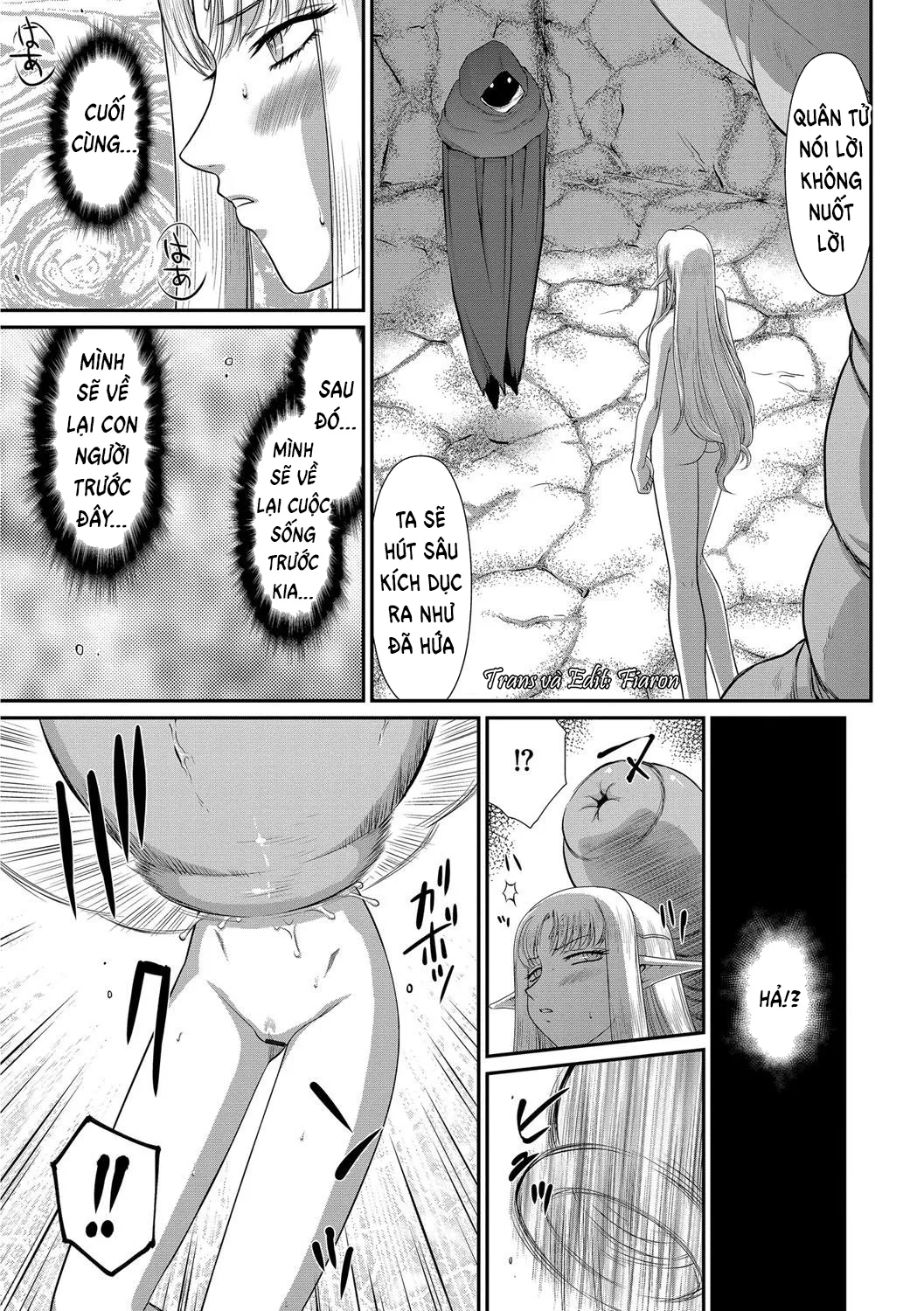 HentaiVN.net - Ảnh 4 - Ingoku no Kouki Dietlinde - Chap 8