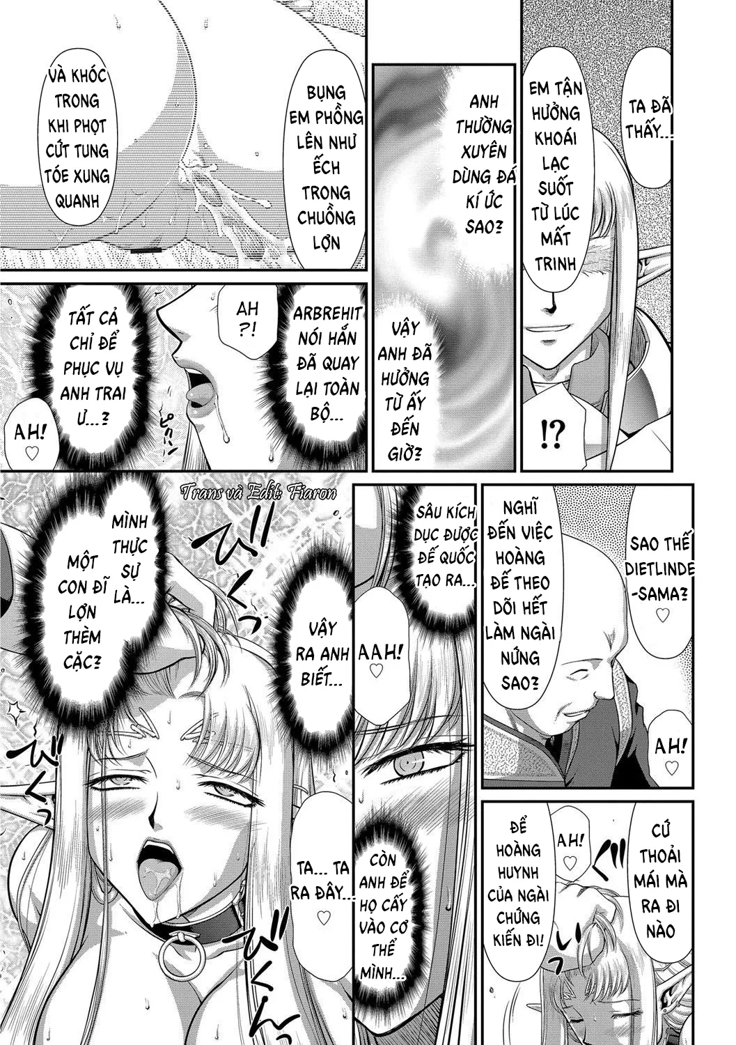 HentaiVN.net - Ảnh 10 - Ingoku no Kouki Dietlinde - Chap 9 - END
