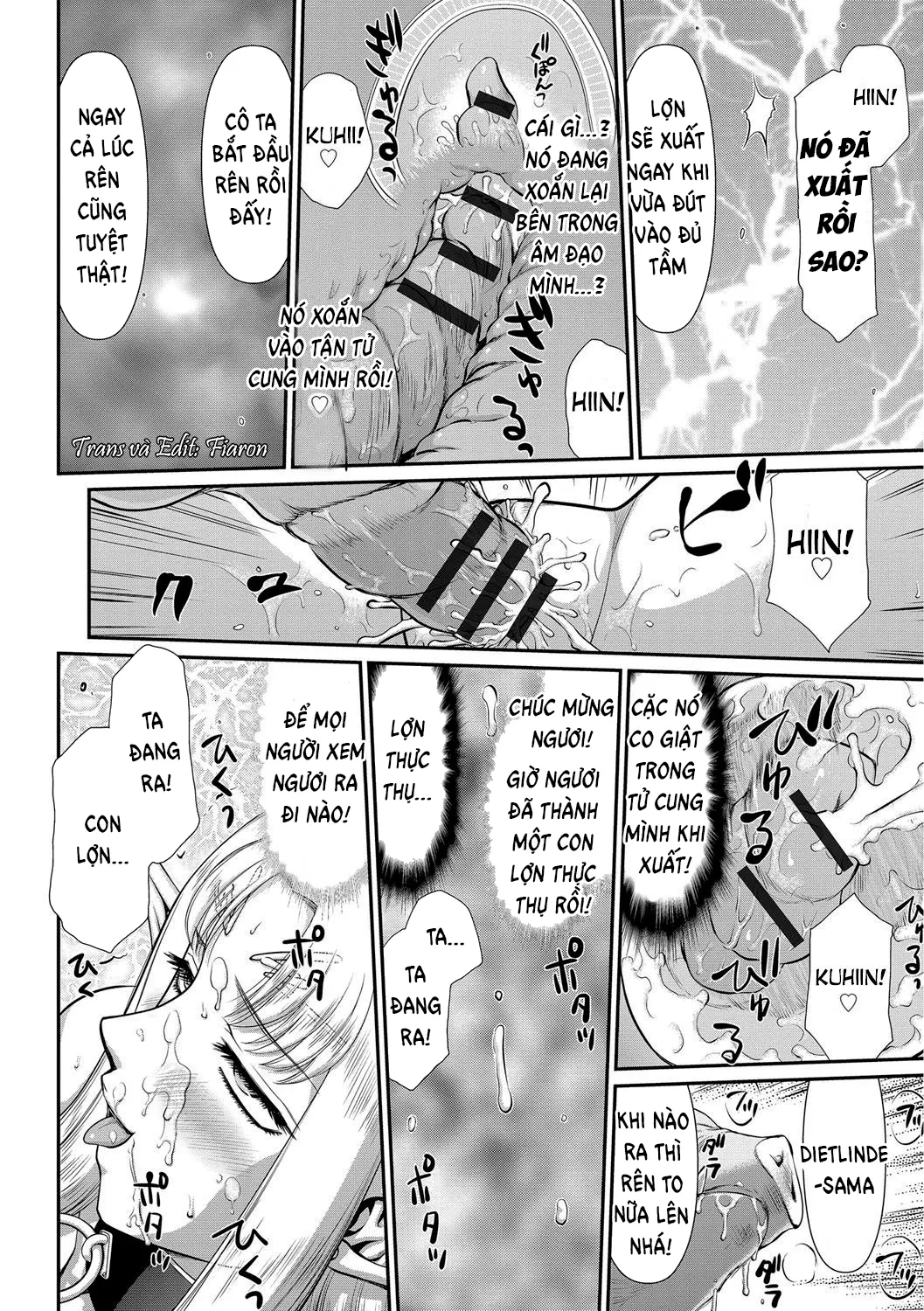 HentaiVN.net - Ảnh 19 - Ingoku no Kouki Dietlinde - Chap 9 - END