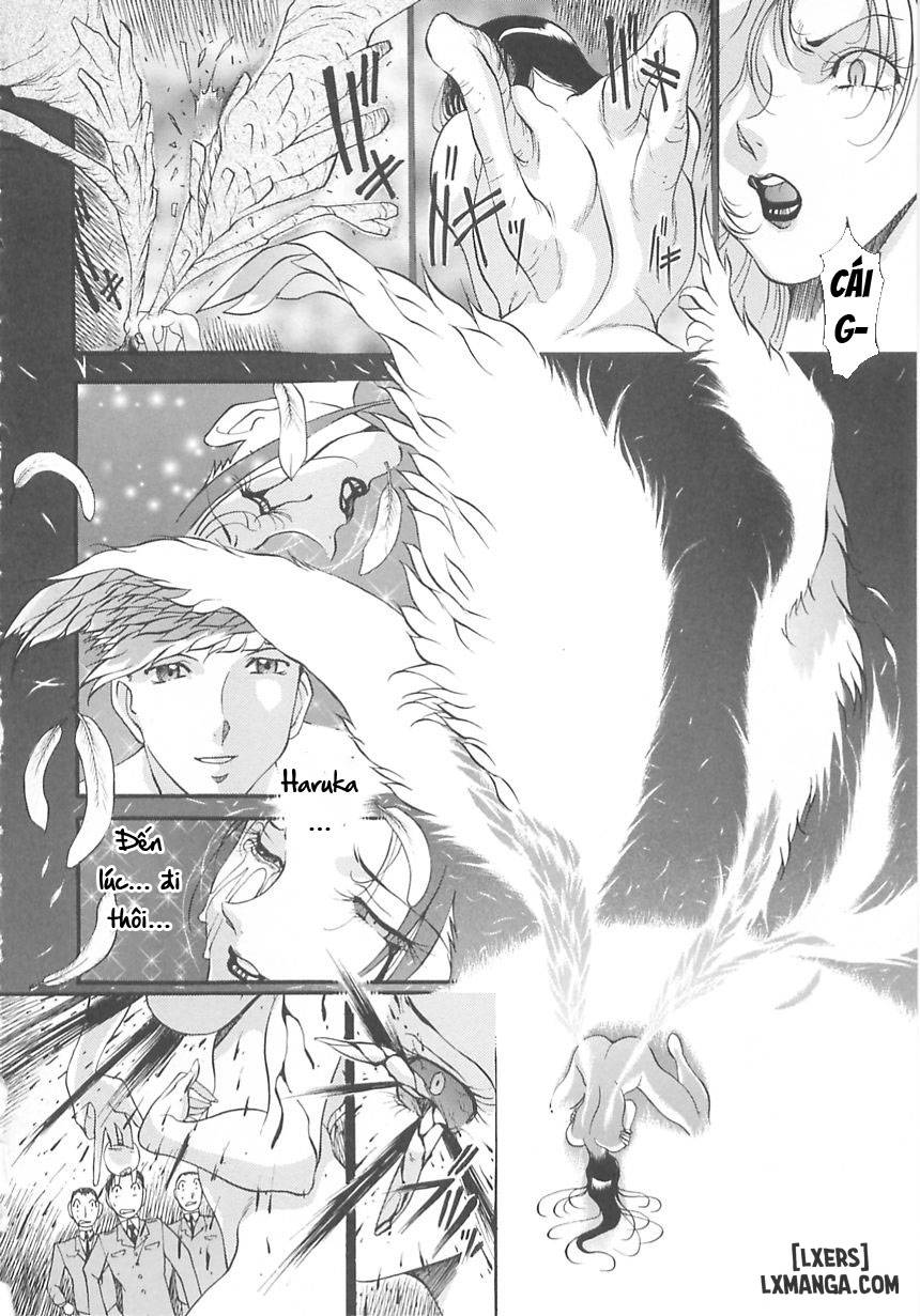 HentaiVN.net - Ảnh 37 - Midara no Houteishiki - Chap 5 + 6 + 7: End.