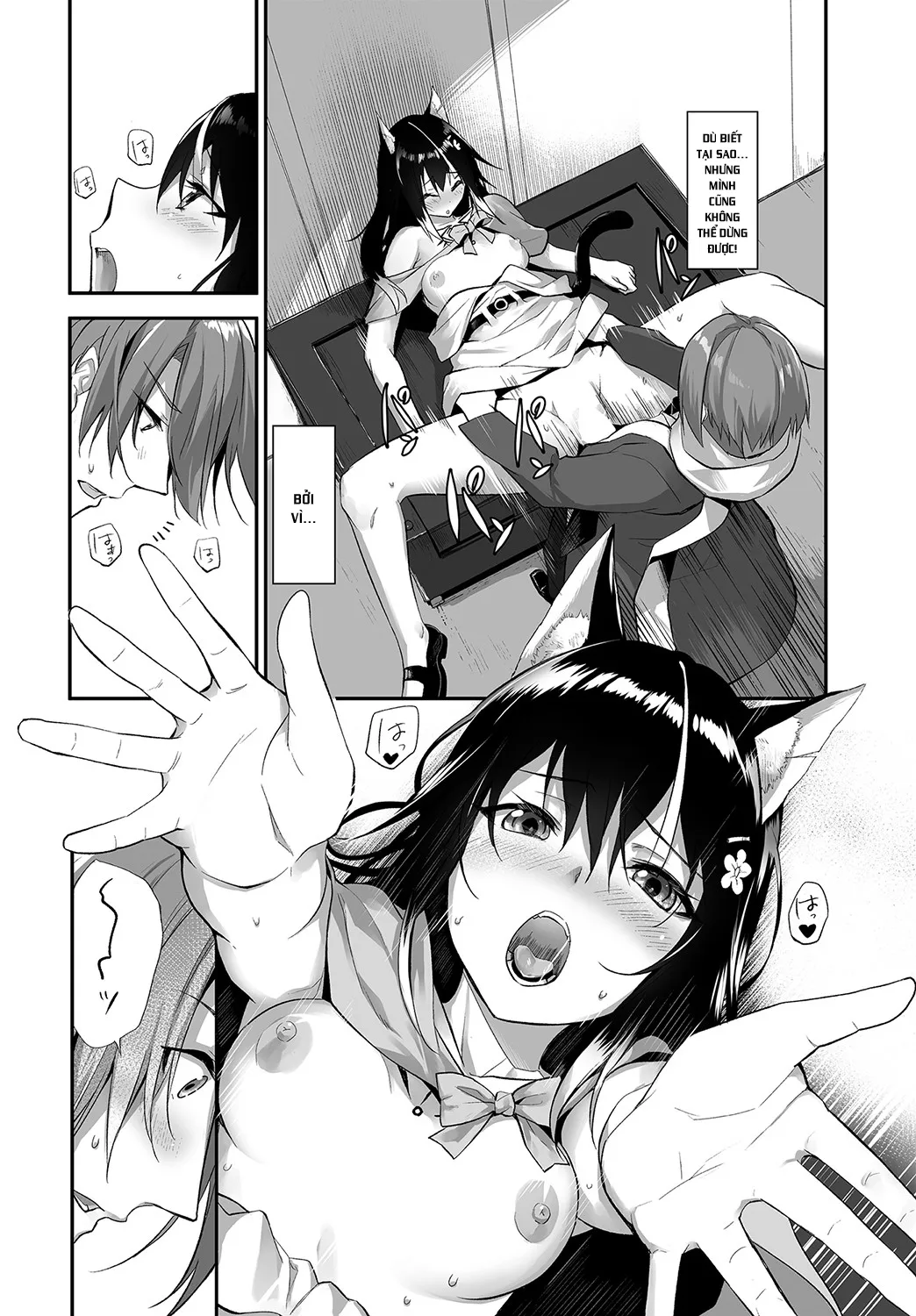 HentaiVN.net - Ảnh 13 - Nô lệ tai mèo - Chap 13