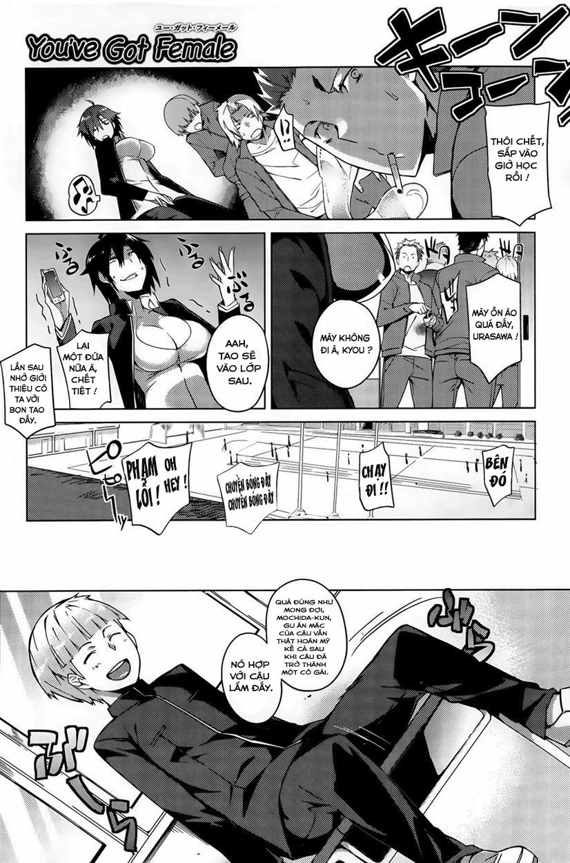 HentaiVN.net - Ảnh 8 - You ve Got Female [Youve Gotten Female] - Chap 1