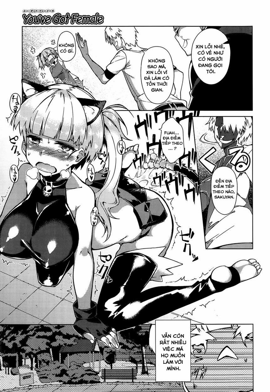 HentaiVN.net - Ảnh 11 - You ve Got Female [Youve Gotten Female] - Chap 2