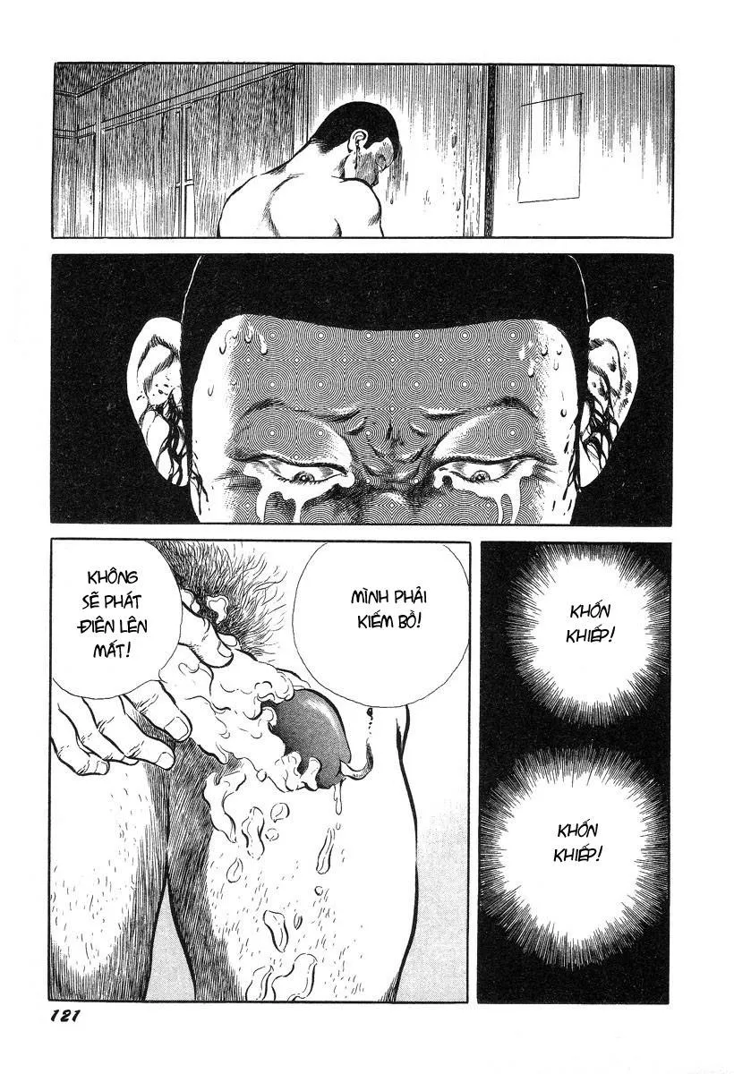 HentaiVN.net - Ảnh 12 - Hentai Shounen - Jun no Koufuku na Hibi - Chap 8