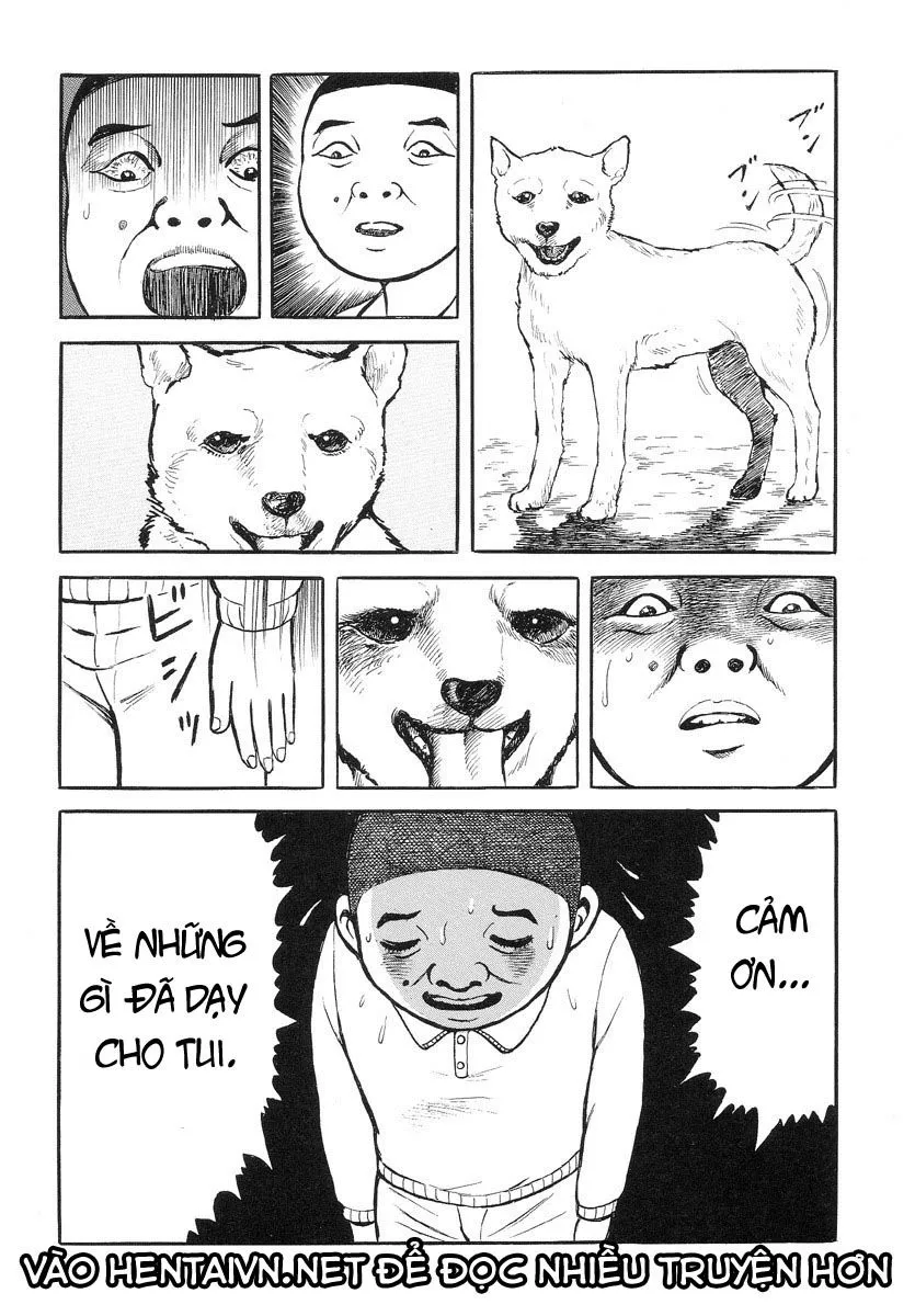 HentaiVN.net - Ảnh 21 - Hentai Shounen - Jun no Koufuku na Hibi - Chap 9 (Cần lời giải thích cho chap này)