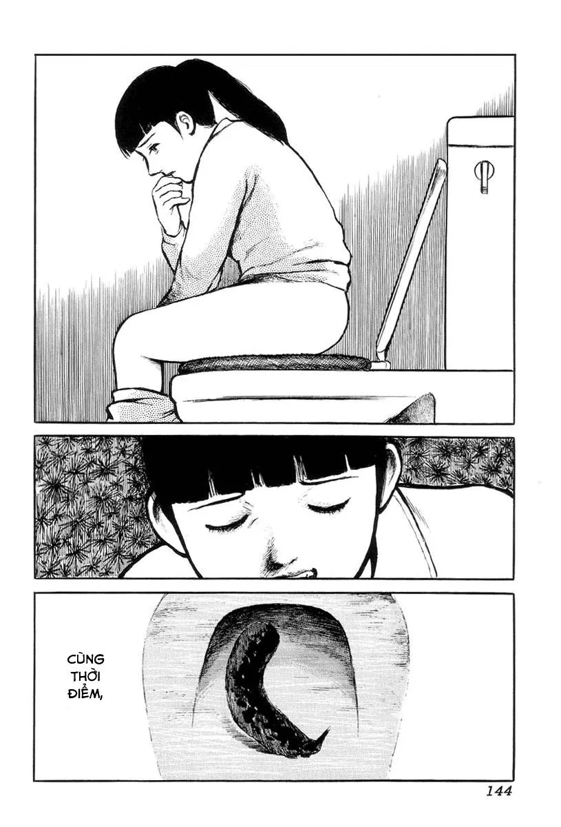 HentaiVN.net - Ảnh 20 - Hentai Shounen - Jun no Koufuku na Hibi - Chap 13 (end + bonus)