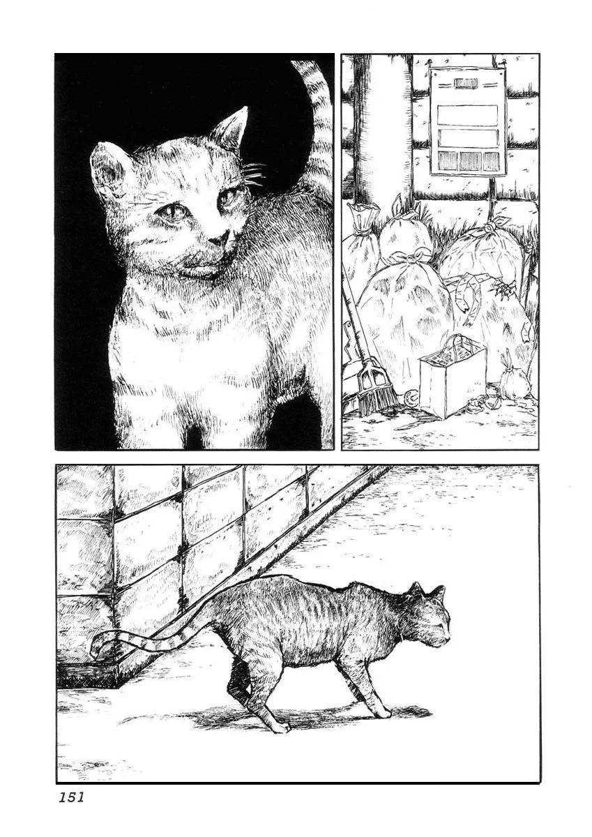 HentaiVN.net - Ảnh 27 - Hentai Shounen - Jun no Koufuku na Hibi - Chap 13 (end + bonus)