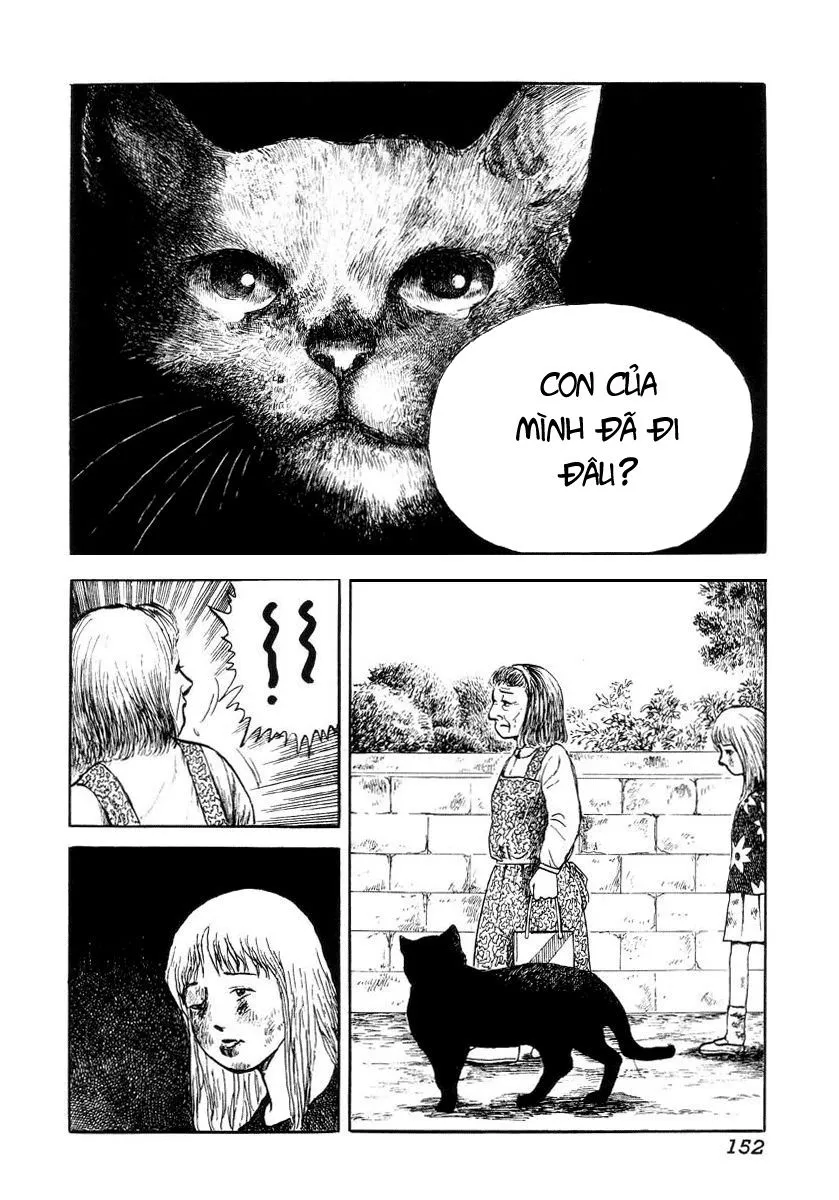 HentaiVN.net - Ảnh 28 - Hentai Shounen - Jun no Koufuku na Hibi - Chap 13 (end + bonus)