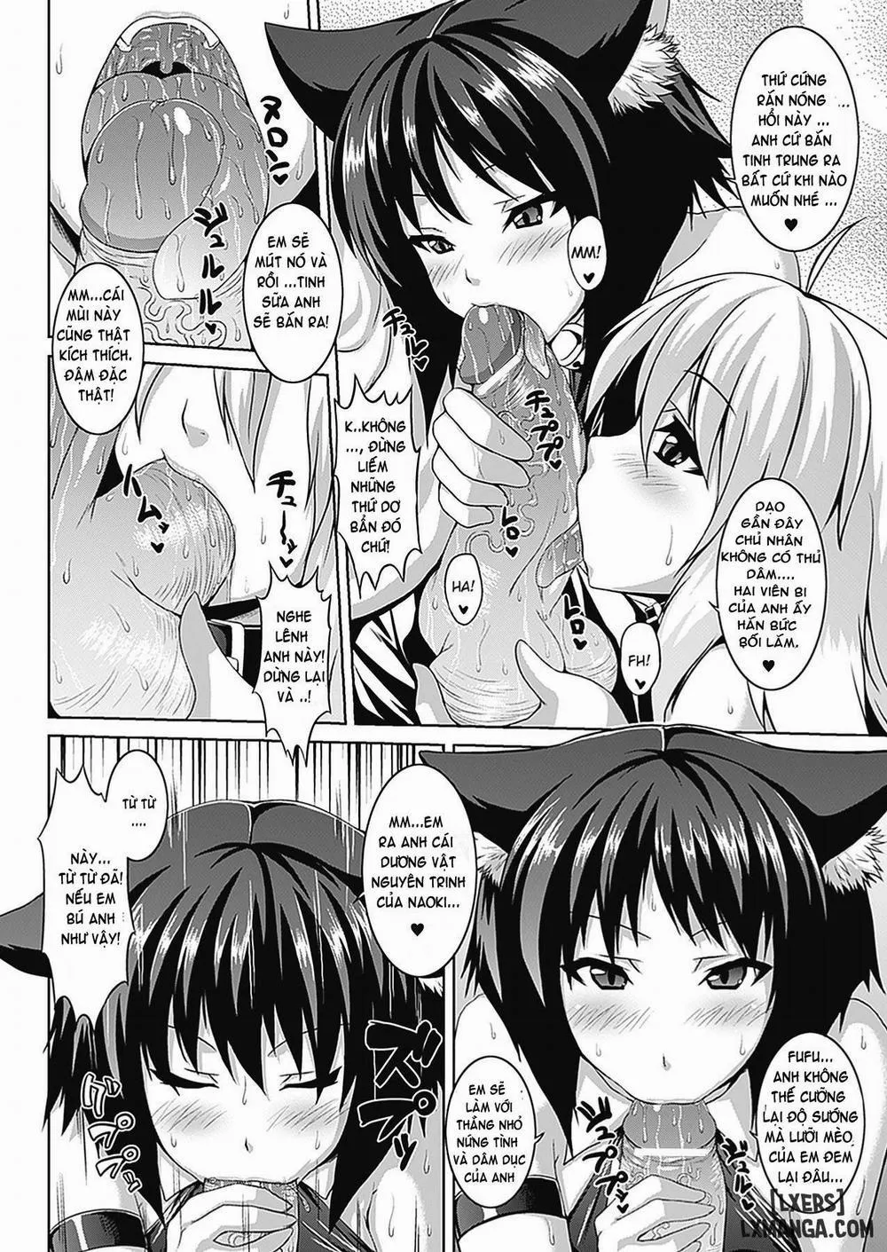 HentaiVN.net - Ảnh 4 - Bitch Harem - Chương 2