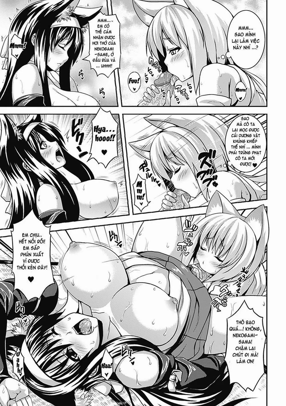 HentaiVN.net - Ảnh 3 - Bitch Harem - Chương 11 0 END