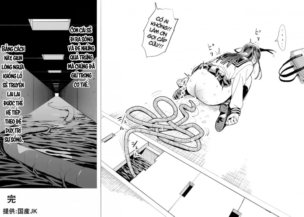 HentaiVN.net - Ảnh 13 - Oohariganemushi no seitai [Vòng đời của giun lông ngựa khổng lồ ; オオハリガネムシの生態] - Oneshot