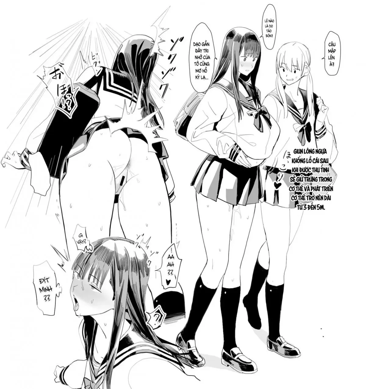 HentaiVN.net - Ảnh 9 - Oohariganemushi no seitai [Vòng đời của giun lông ngựa khổng lồ ; オオハリガネムシの生態] - Oneshot