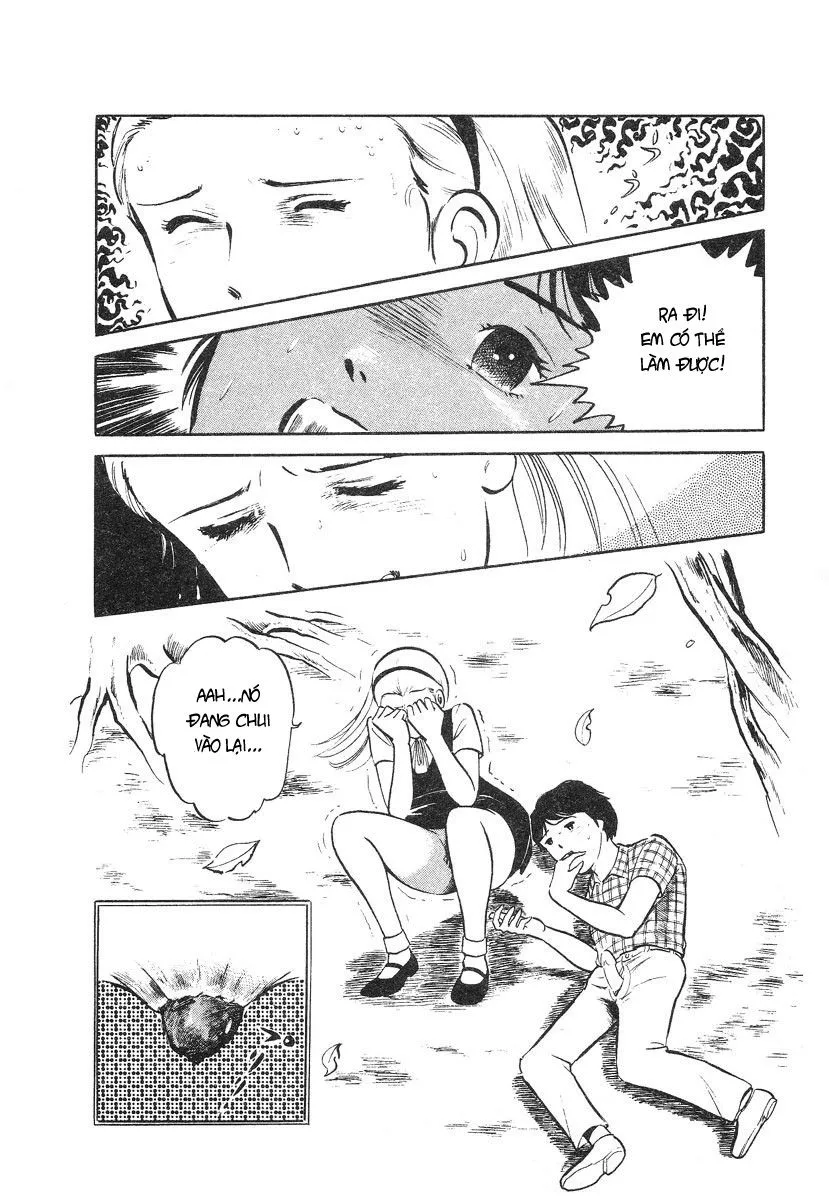 HentaiVN.net - Ảnh 13 - This Is Art - Chap 4